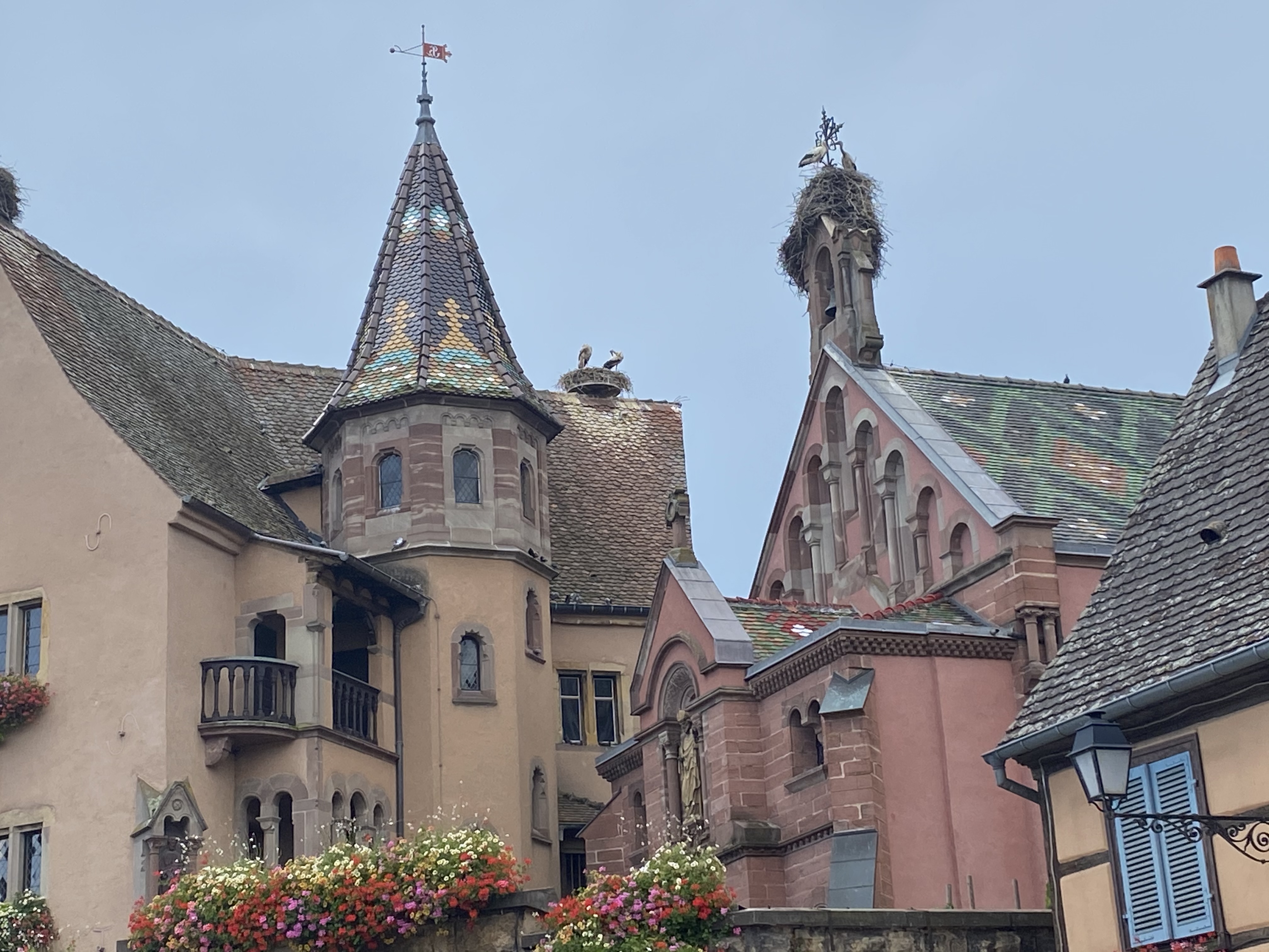 Eguisheim (Alsace, France, August 2020)