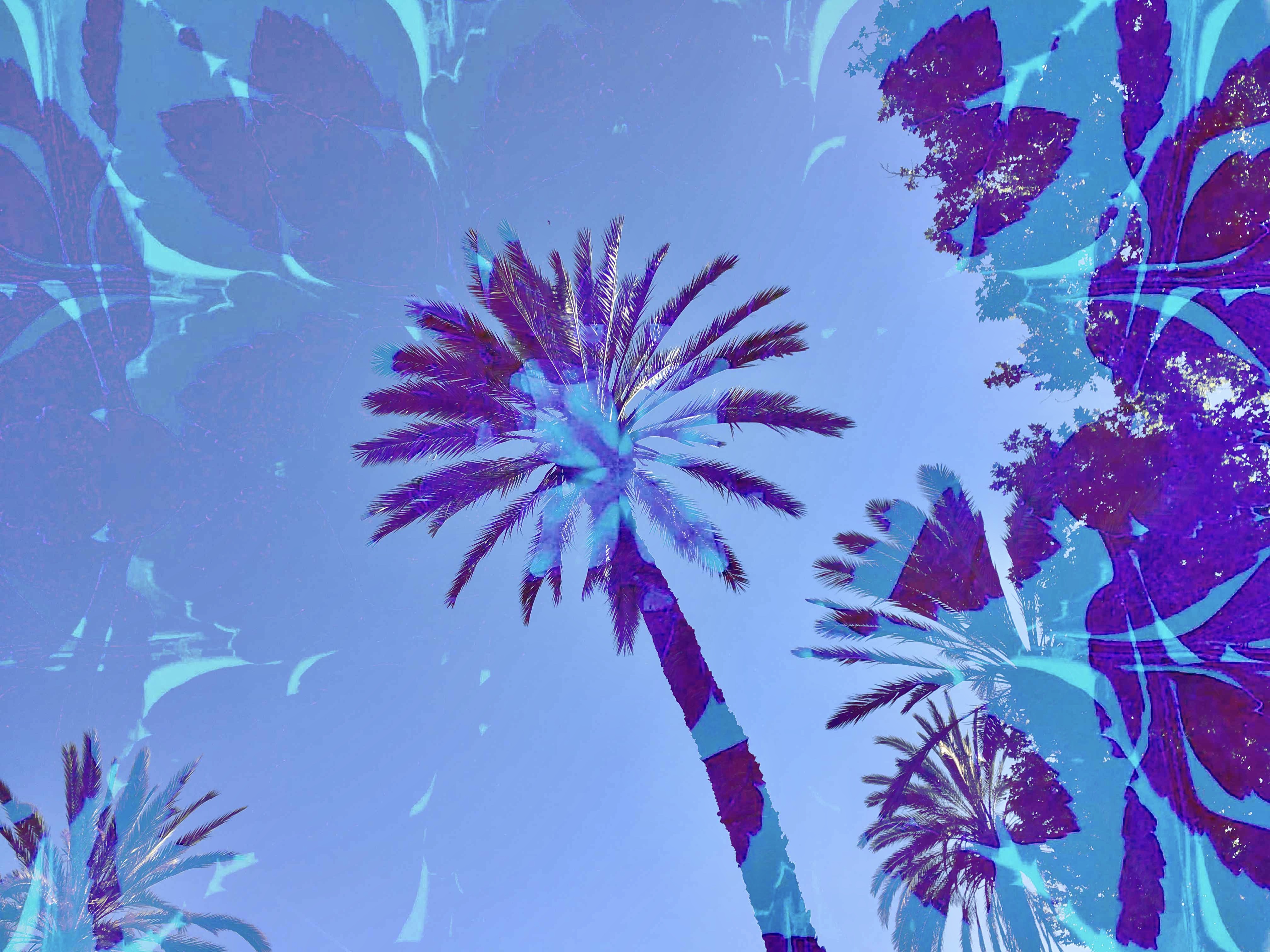 In the shadow of Sicilian palm trees