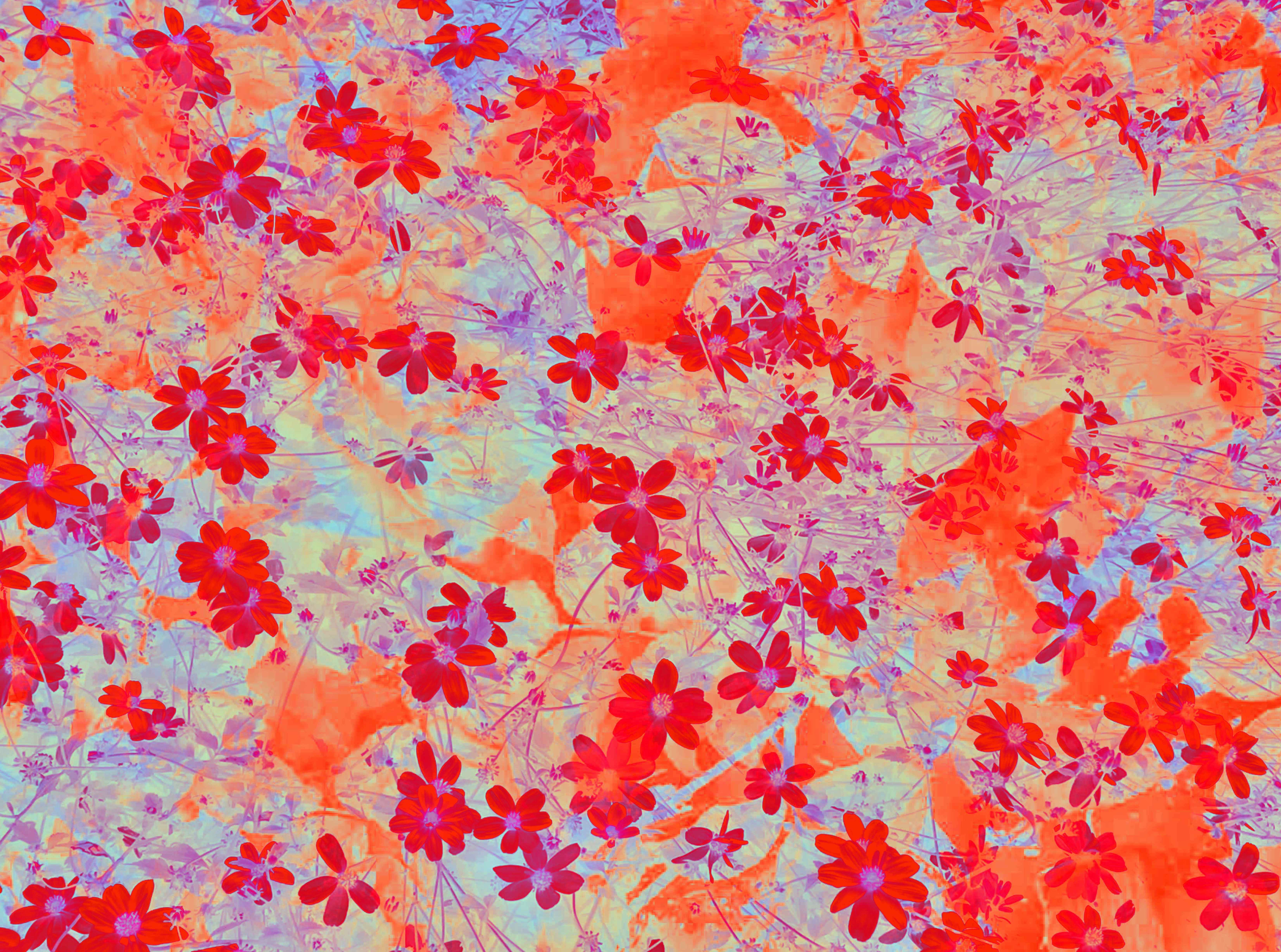Floral desire