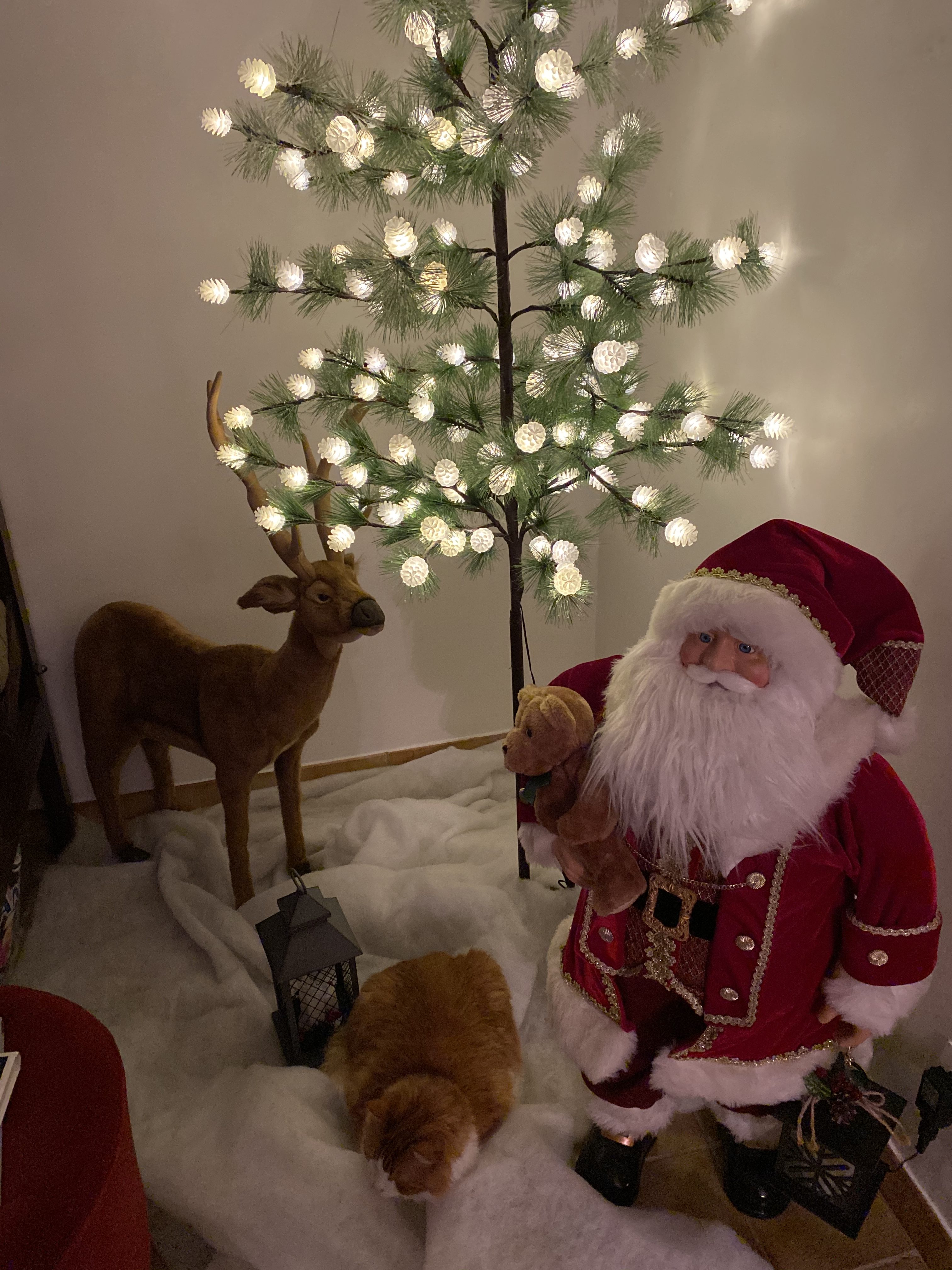 Christmas decorations