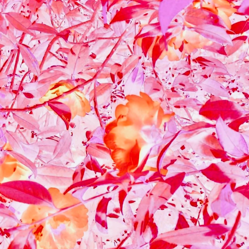 La tête dans les fleurs