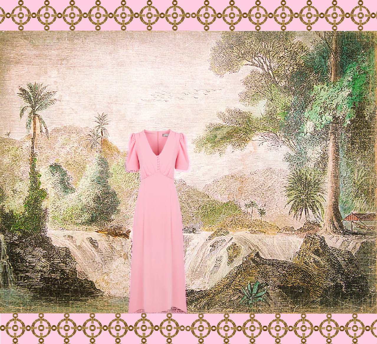 Une rose dans la nature