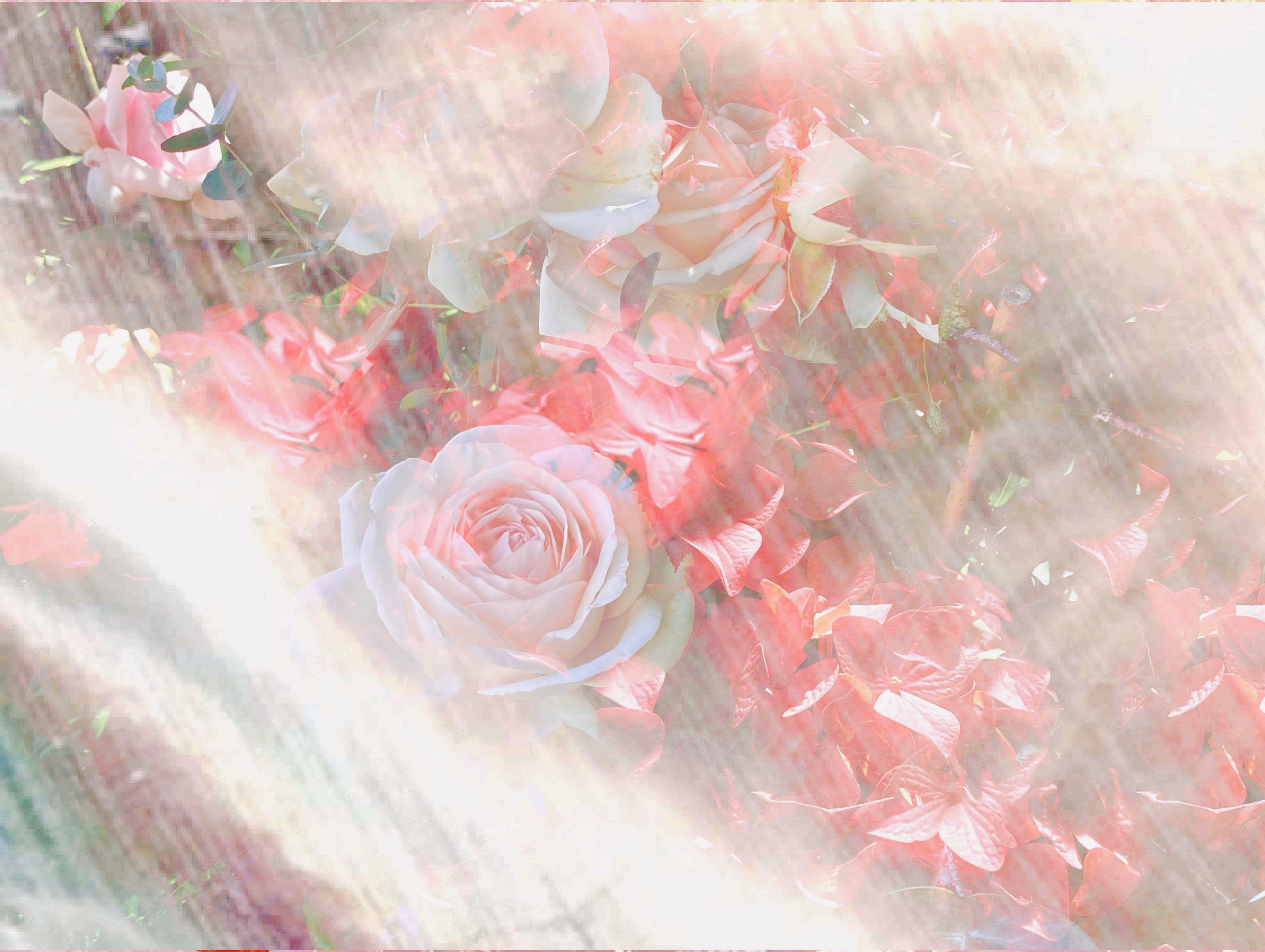 In the mood for flowers