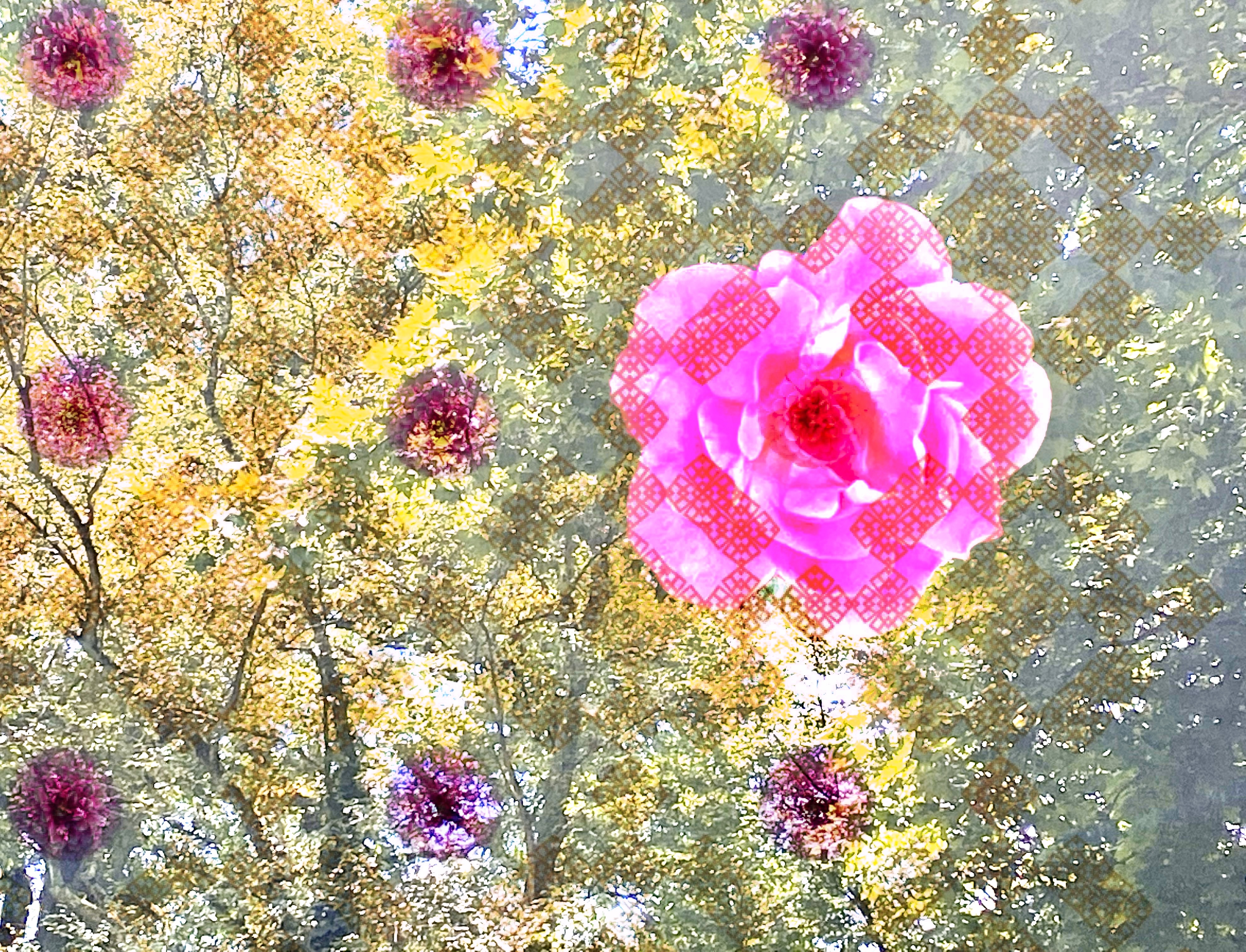 In love with flowers