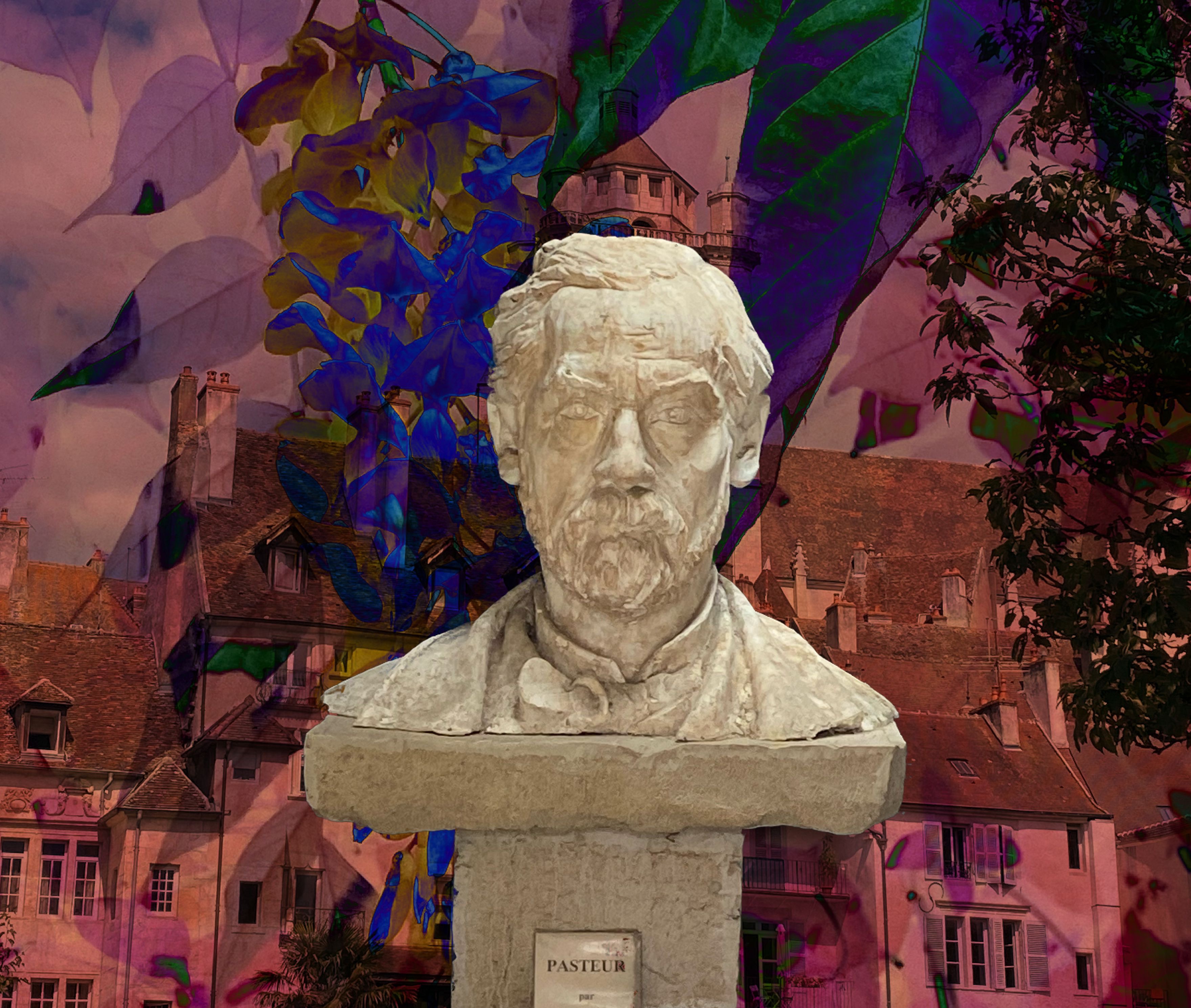 Dole, native city of Louis Pasteur