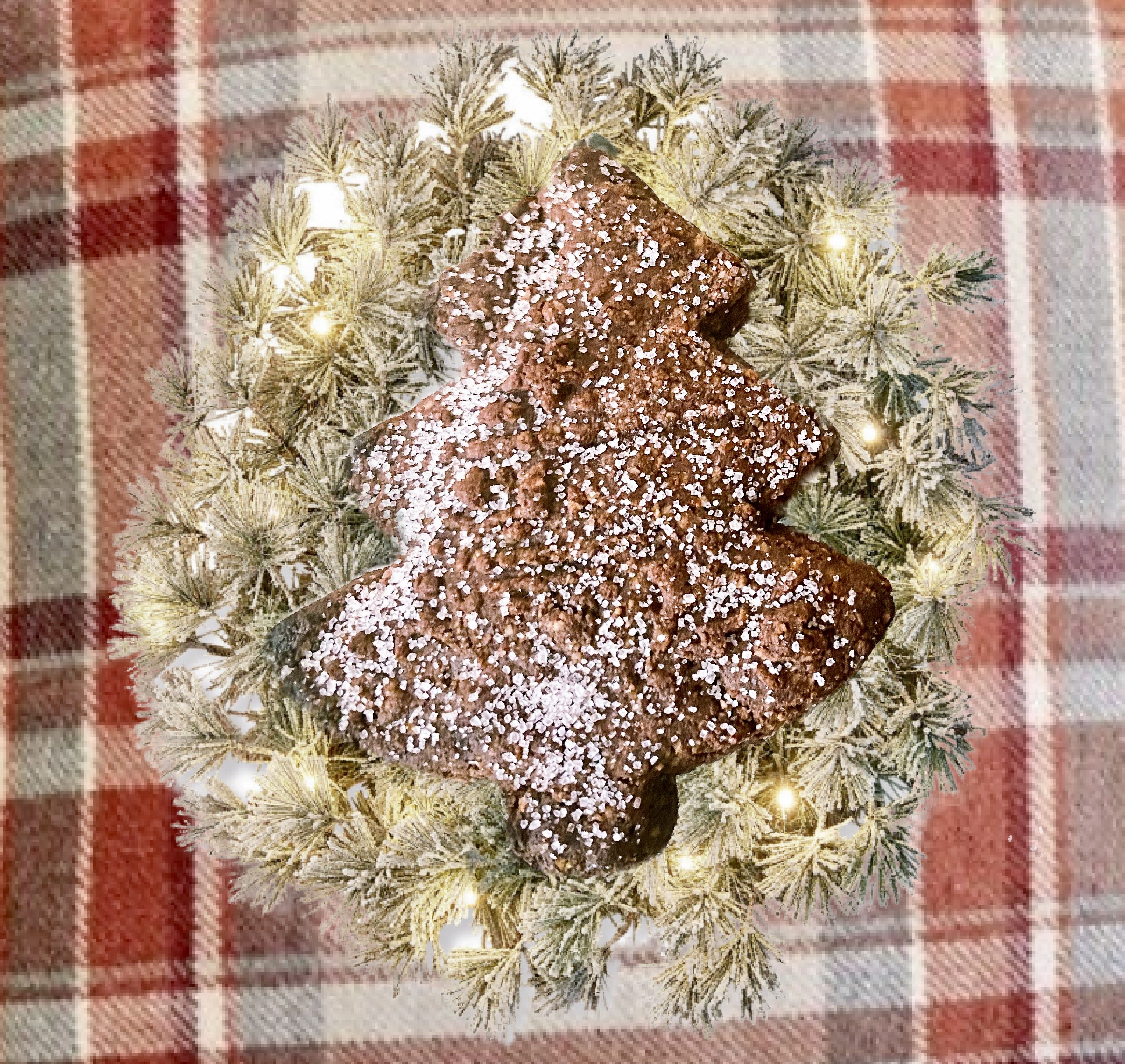 Alsatian pastries for Christmas : Brunsli