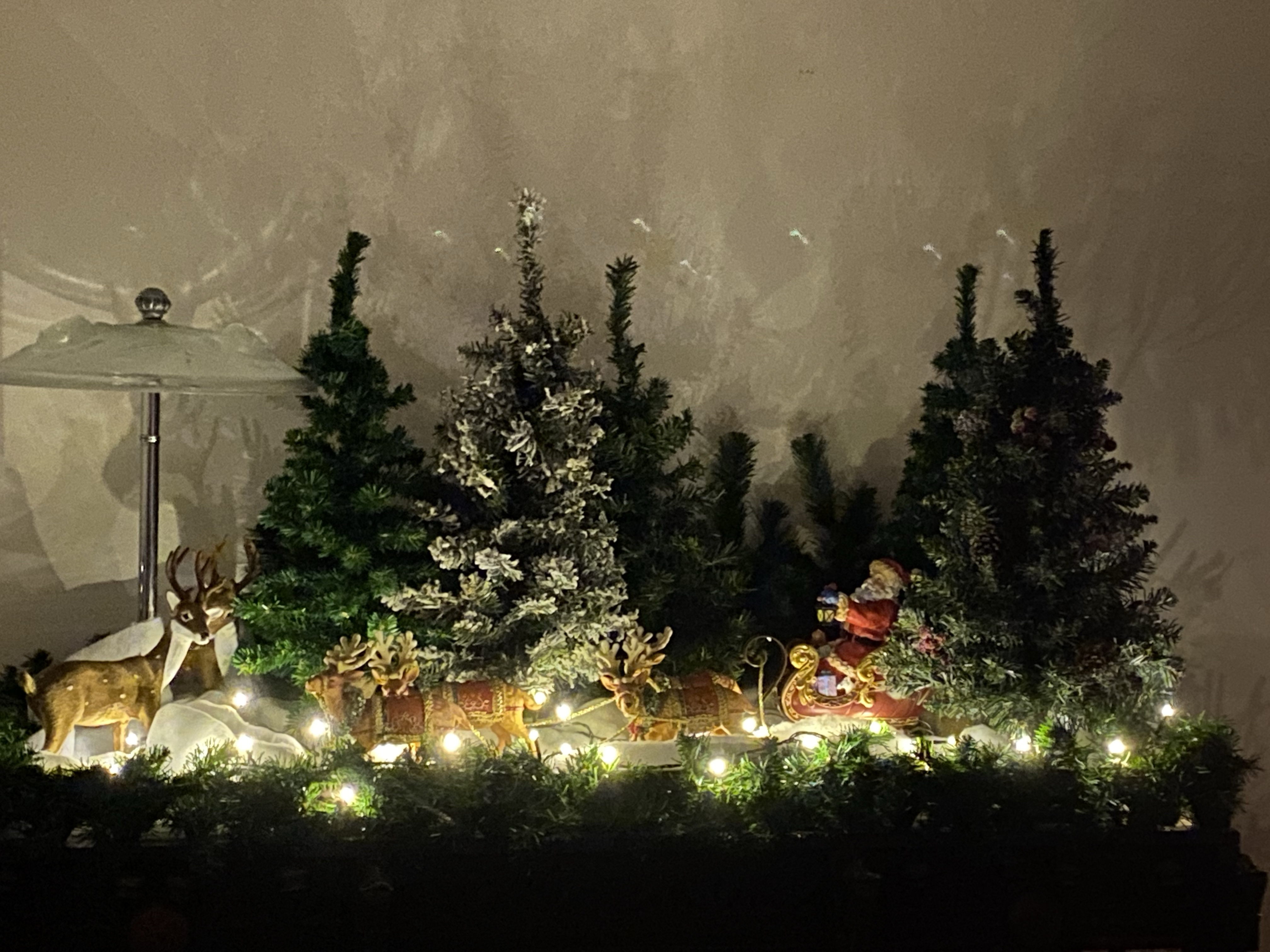 Santa with his sleigh in the forest