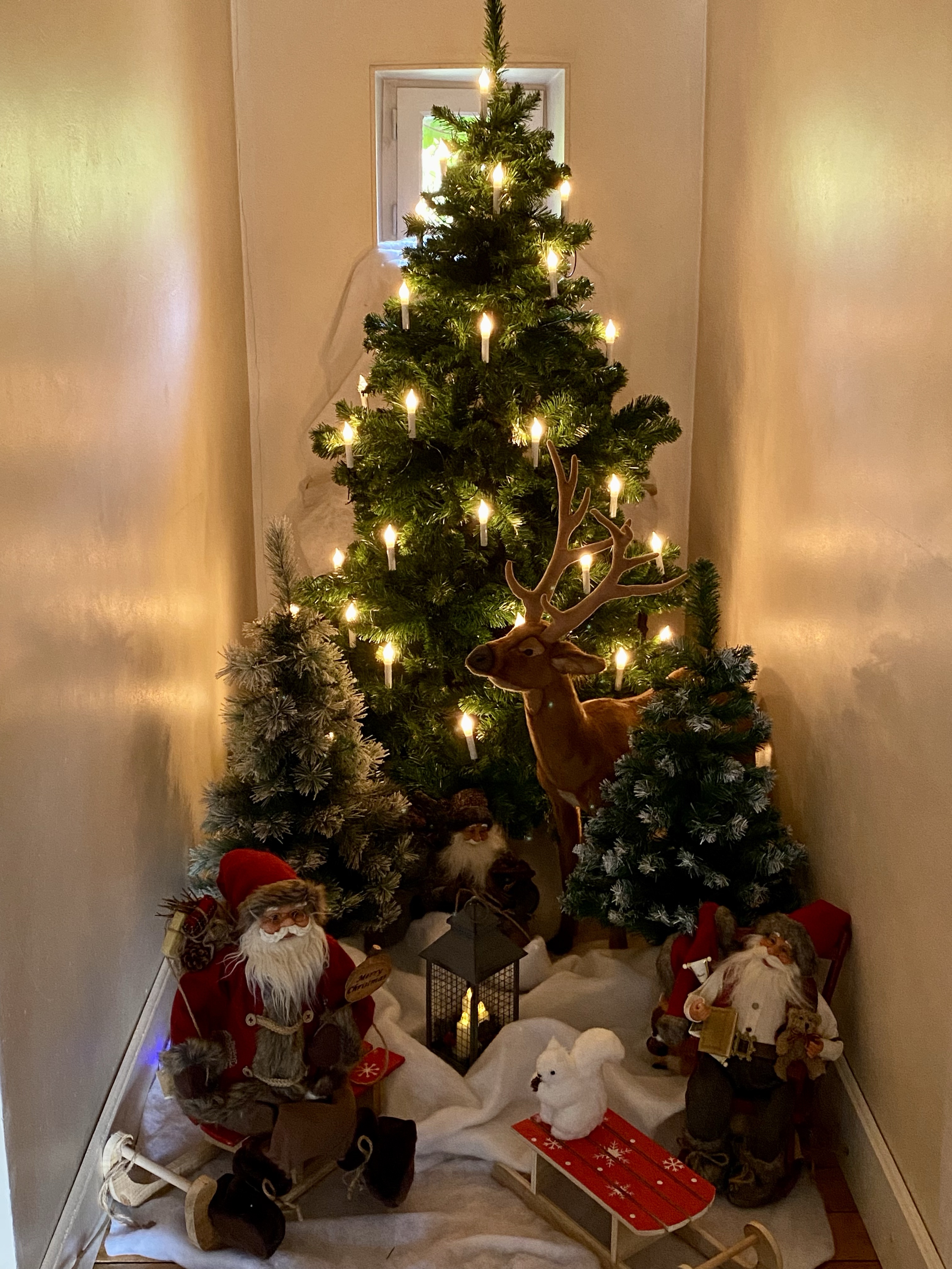 Santas in the Forest