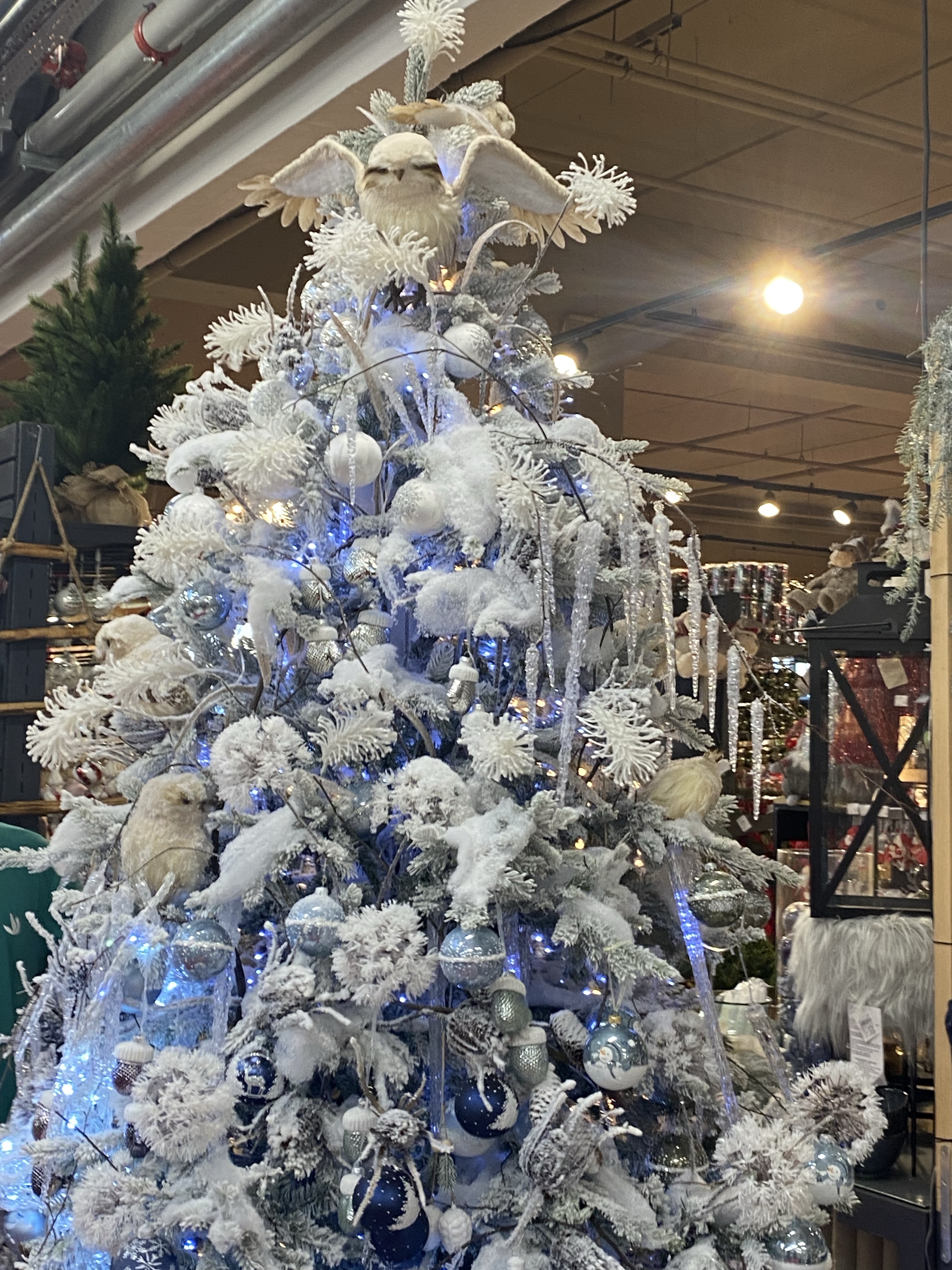 A iced Christmas tree at the store Truffaut (Parly 2)