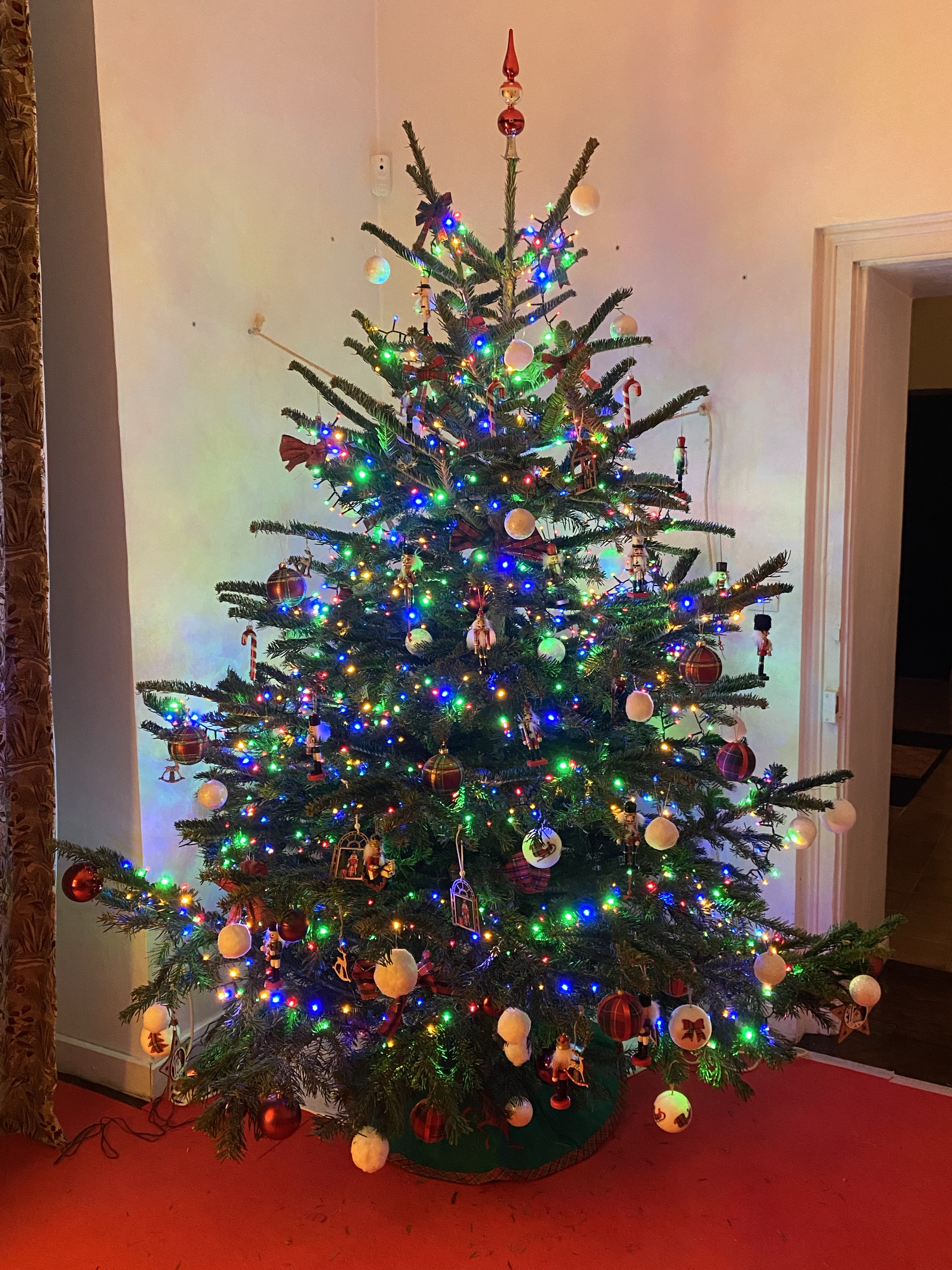 Nutcrakers in Scotland (our Christmas tree)