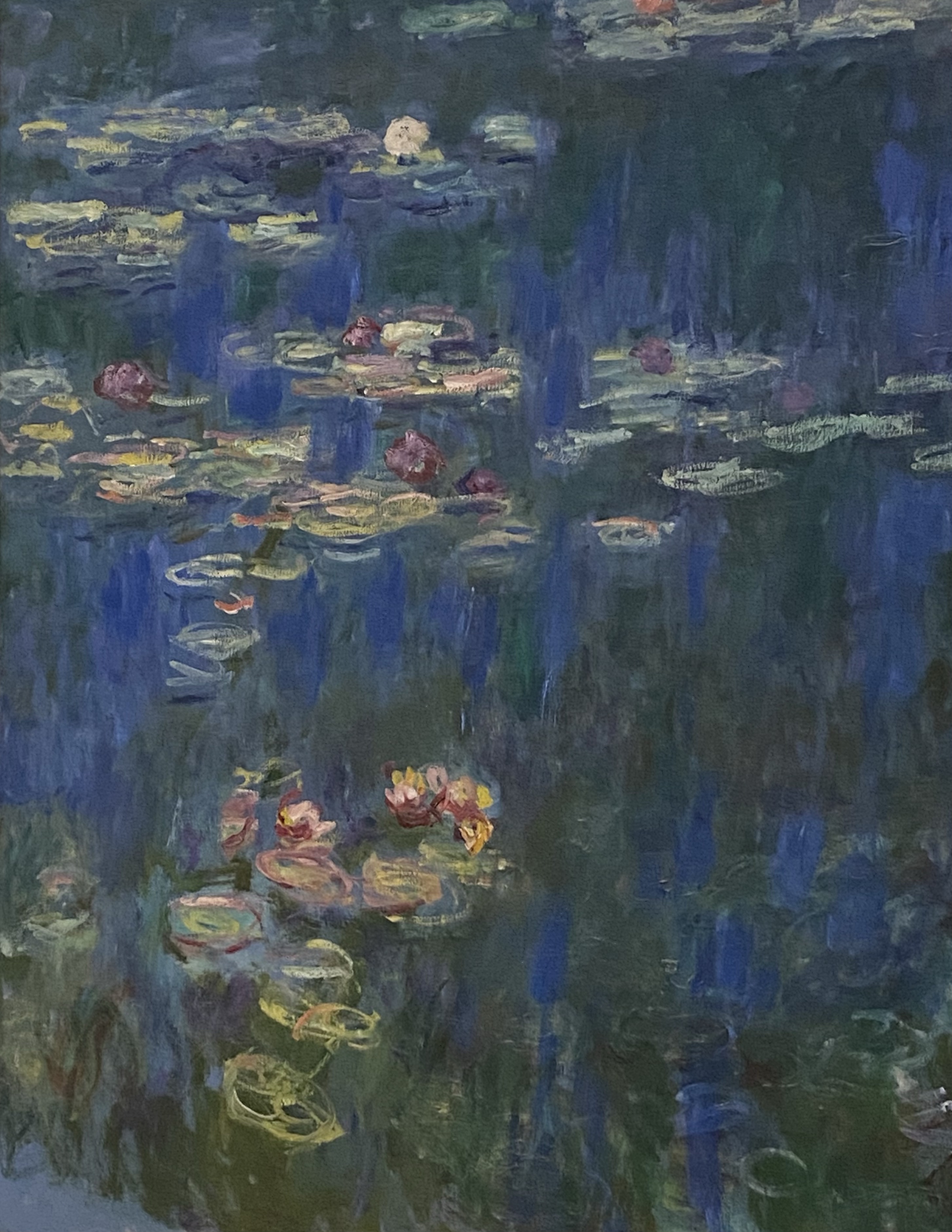 Claude Monet’s water lilies at the museum “L’Orangerie” in Paris