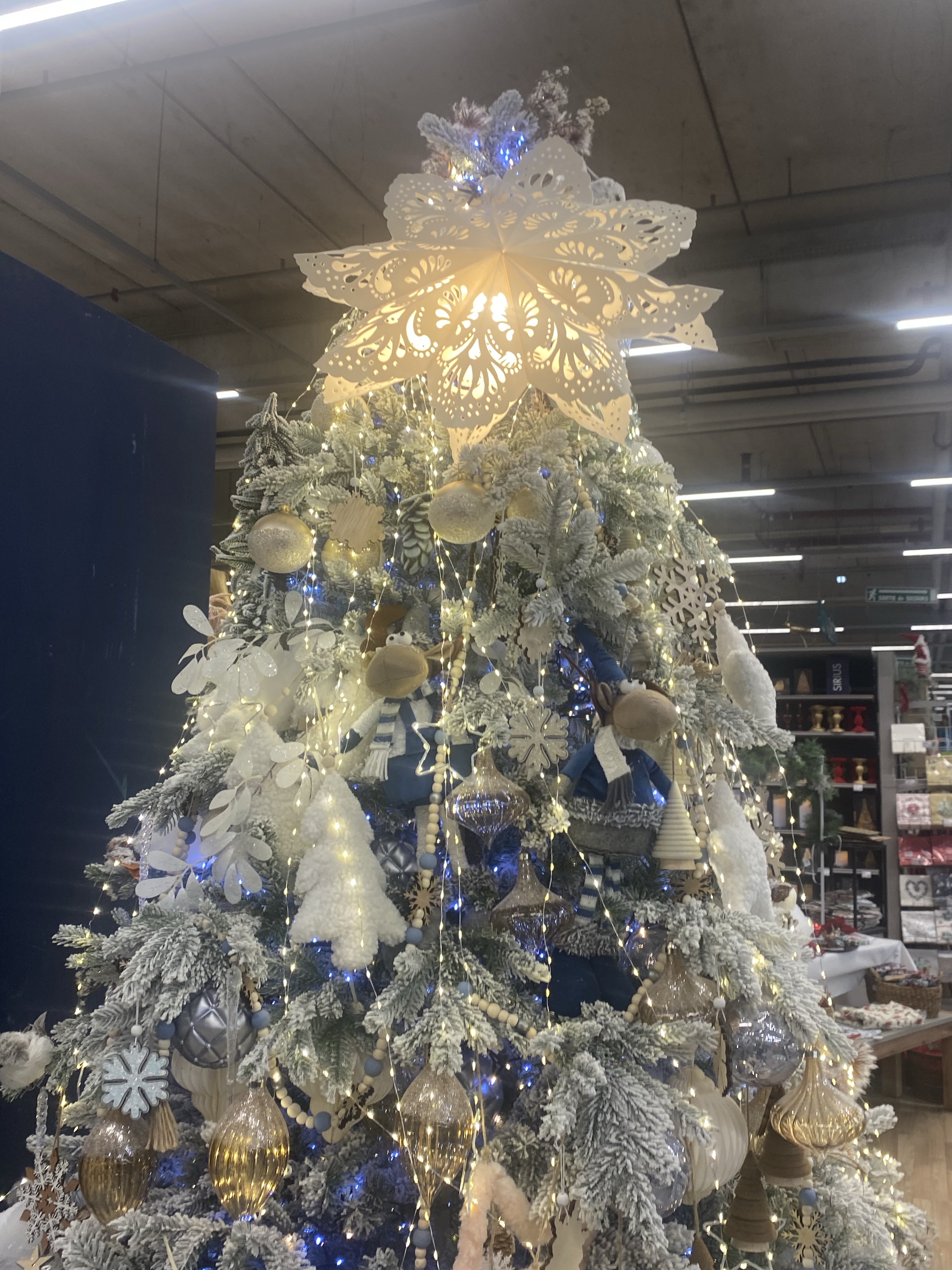 An icy Christmas tree at Truffaut, Domus (near Paris)