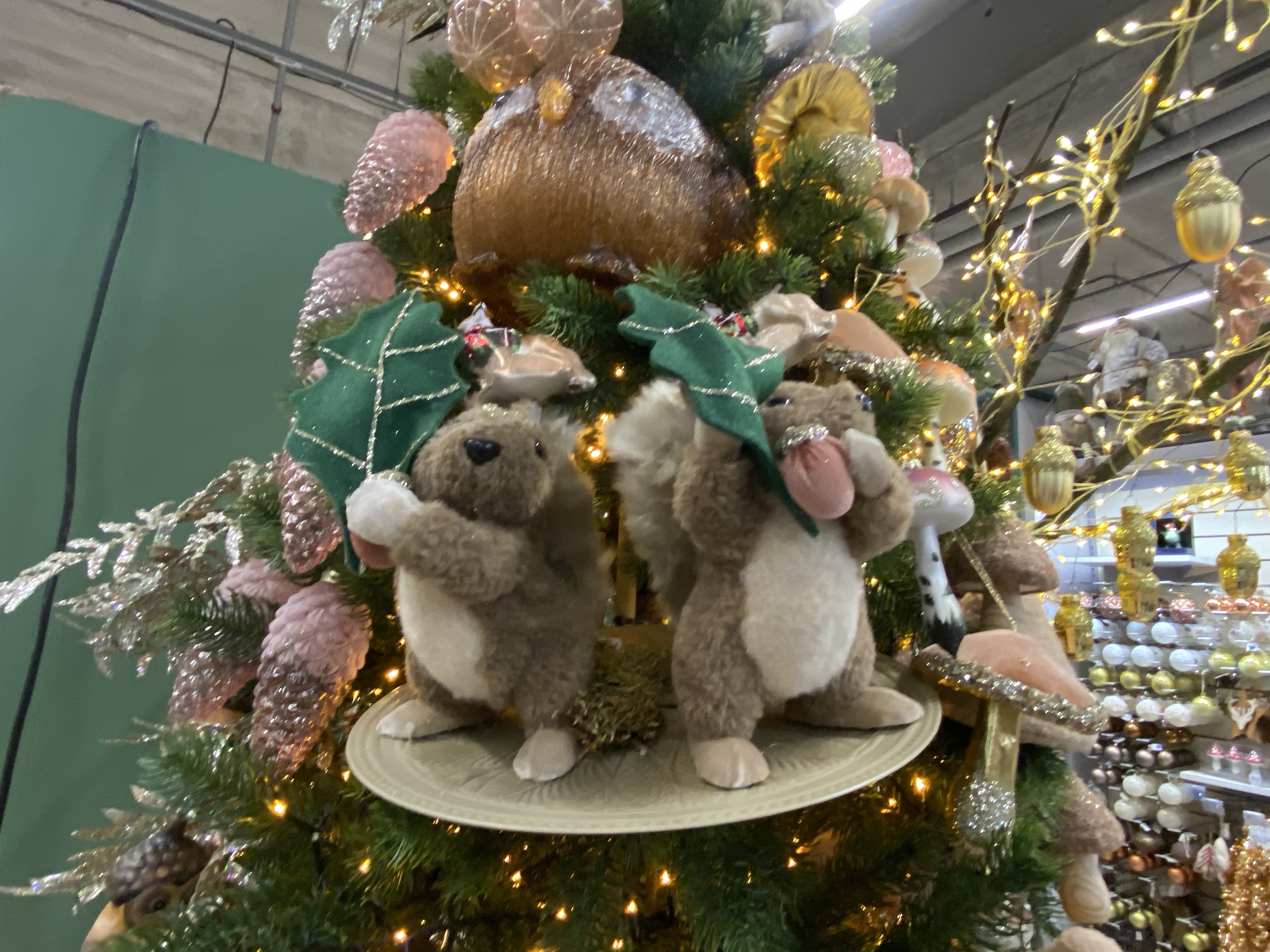 A forest Christmas tree at Truffaut (Domus, near Paris)