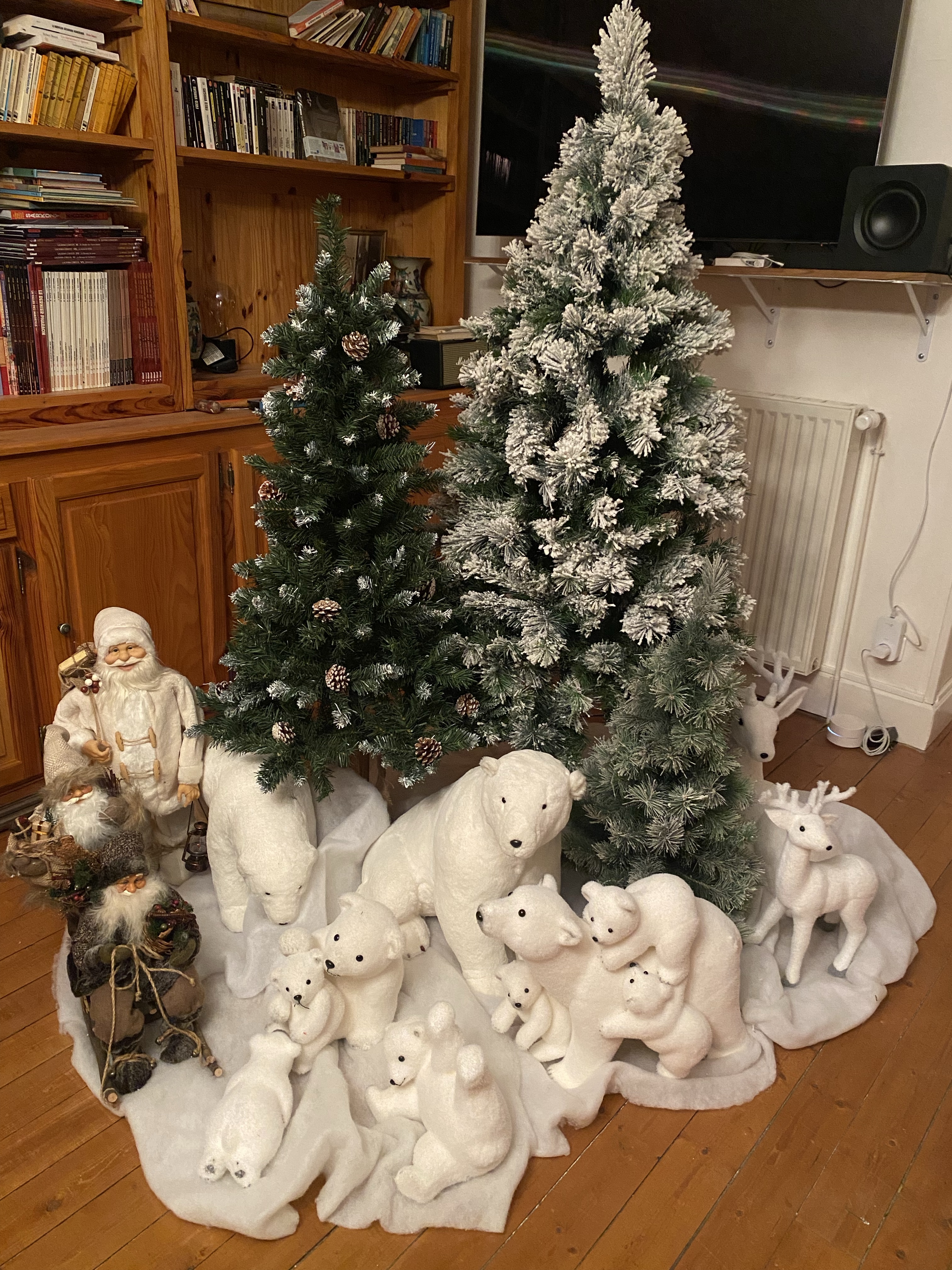 A Christmas at the north pole