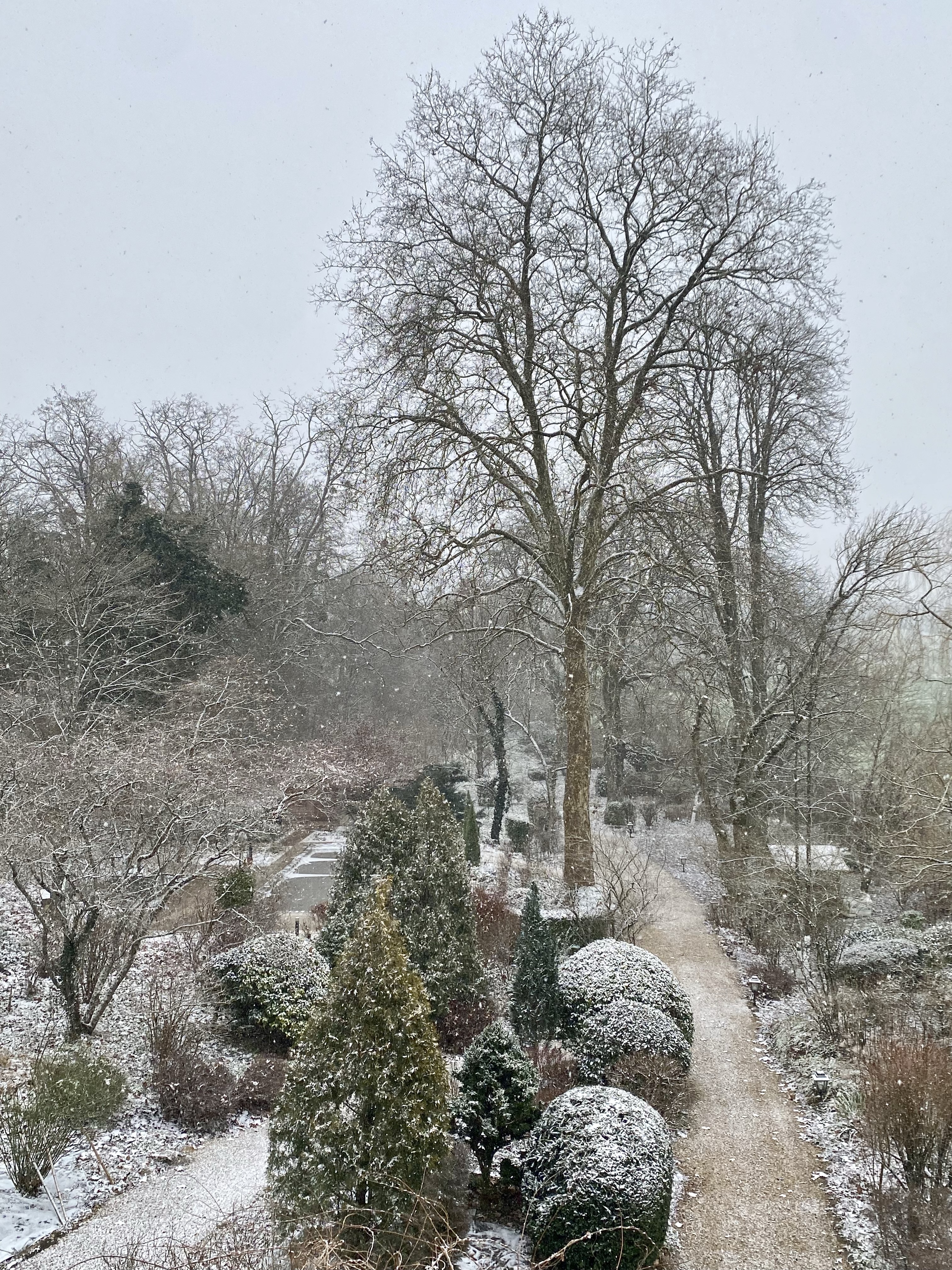 Snow in jura, France
