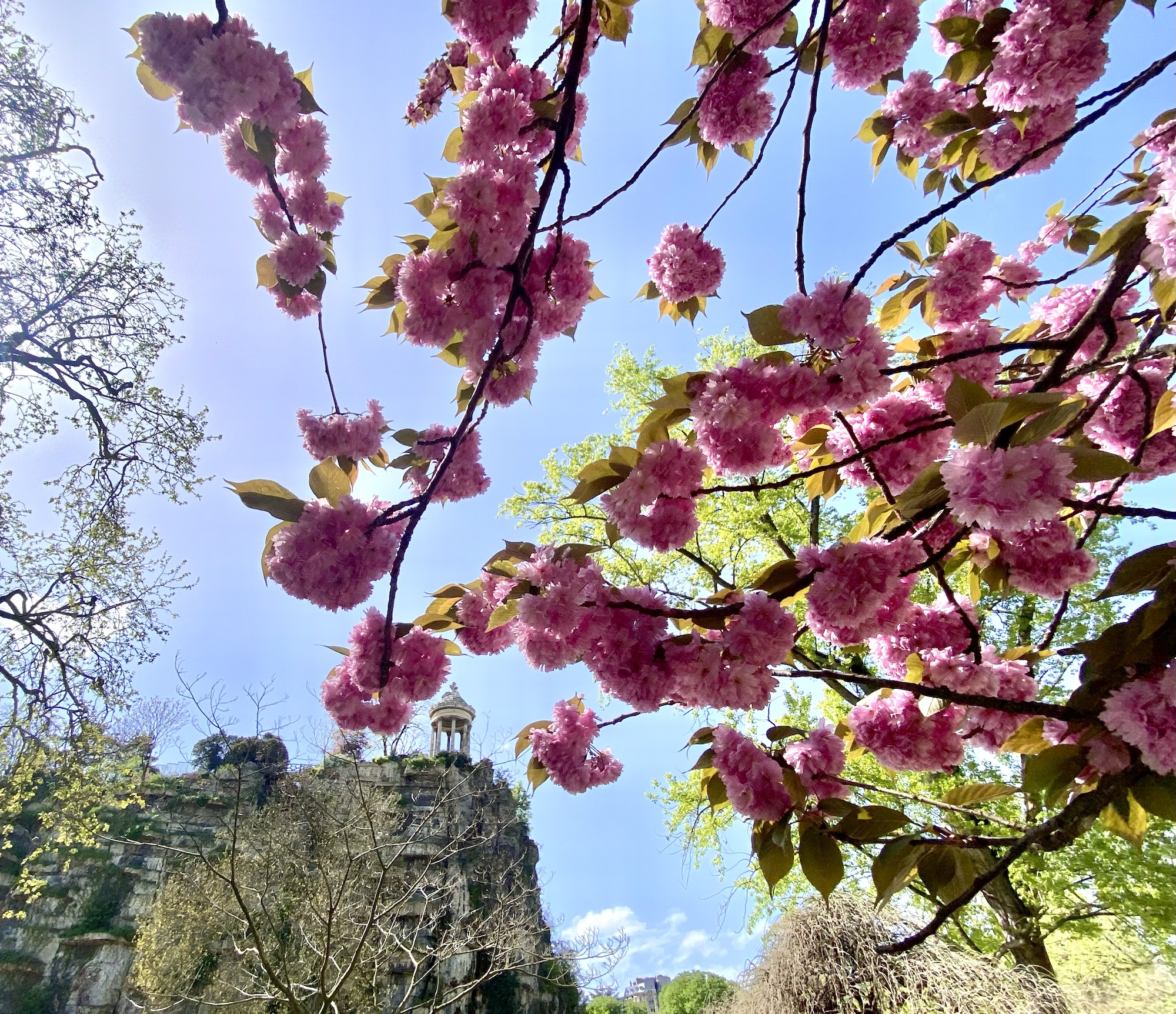Parc des Buttes Chaumont in Paris