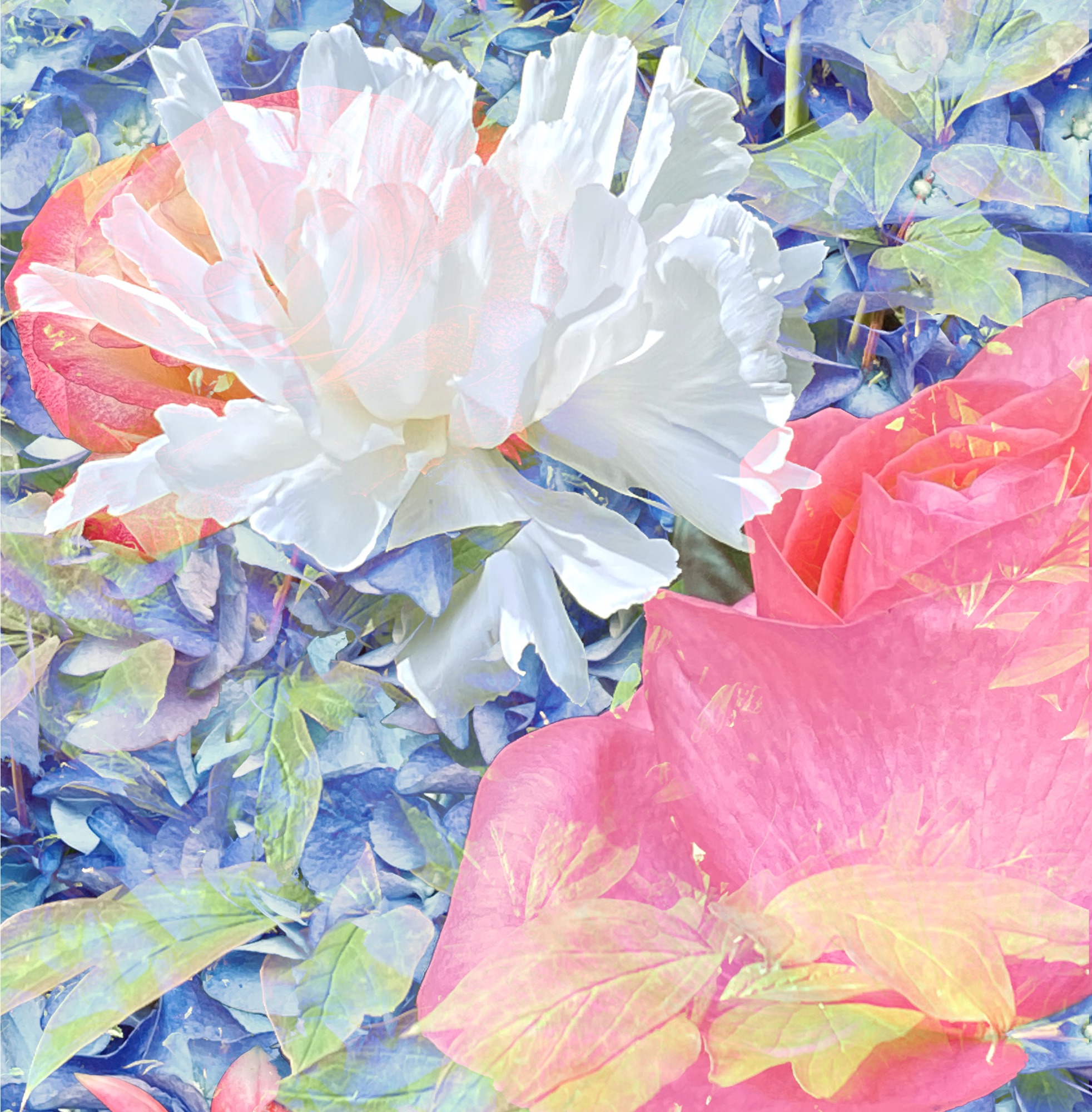 Impressions fleuries