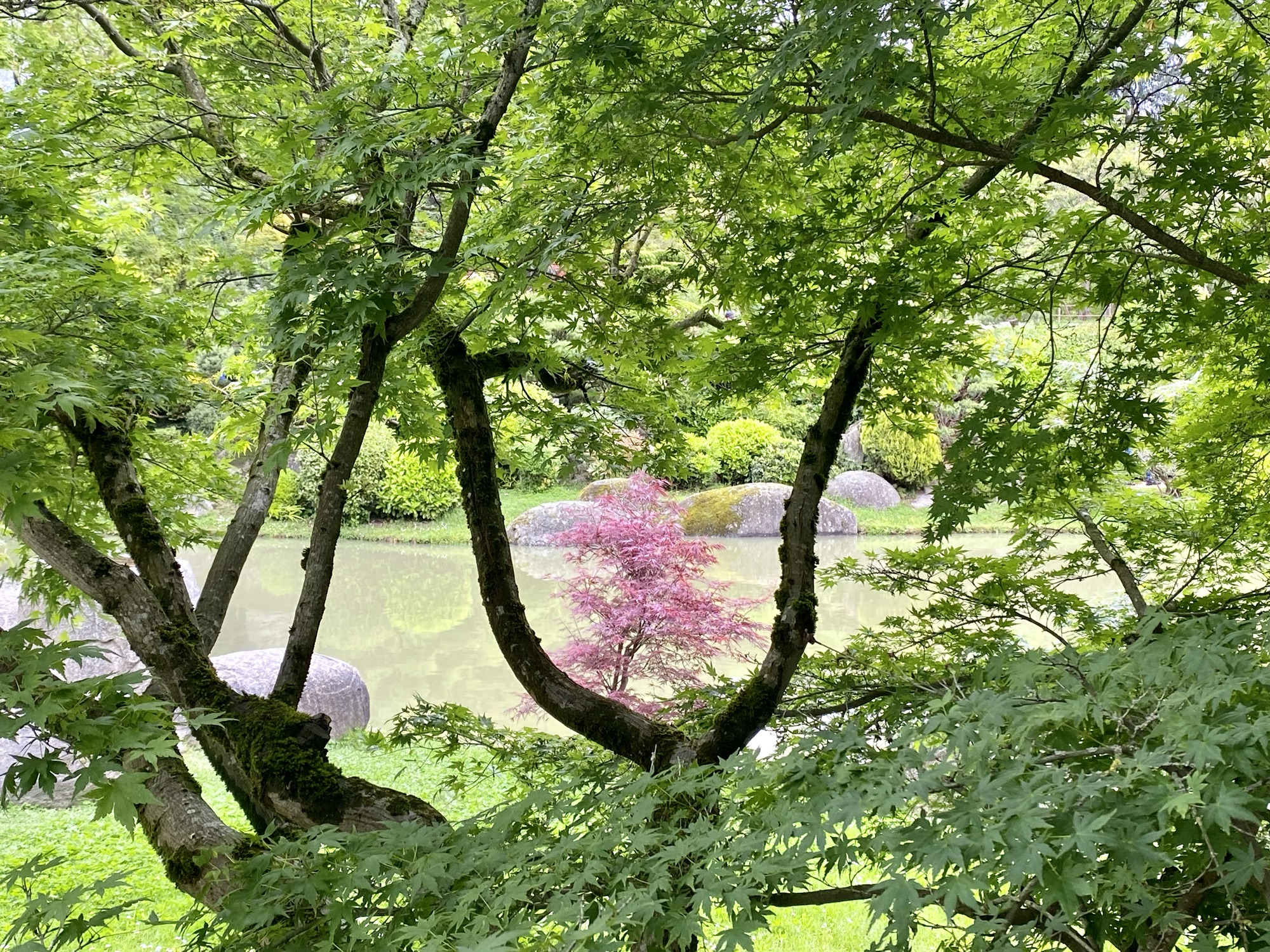 Japanese garden in Toulouse, France