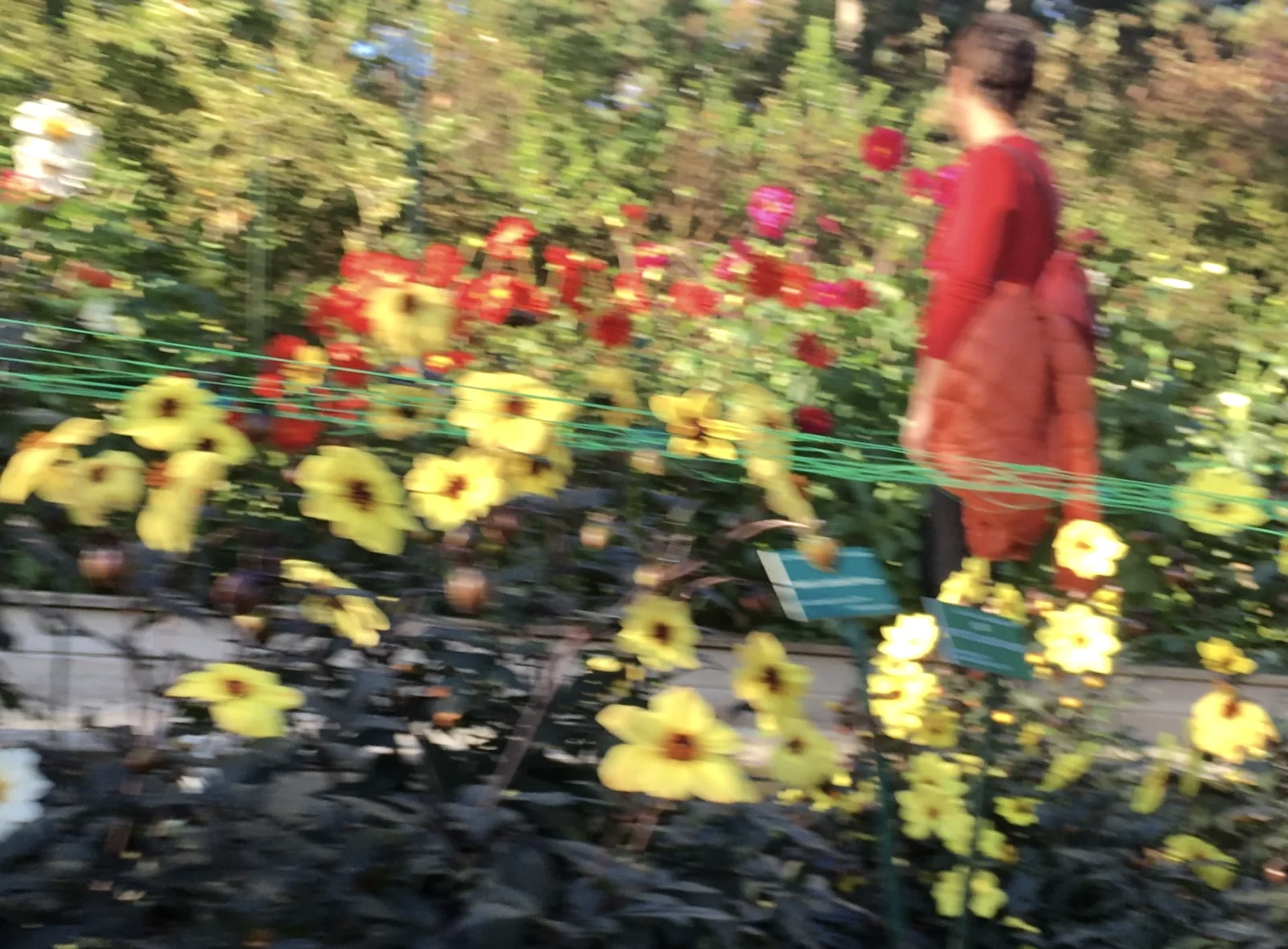 Une allée au Parc floral à Paris