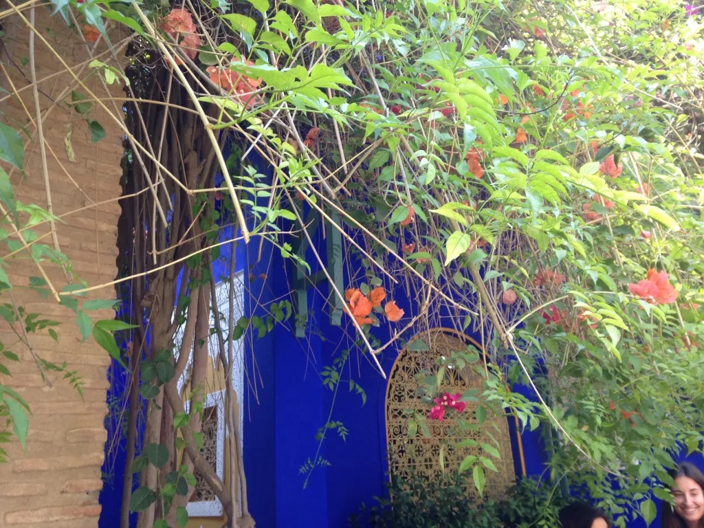 Le jardin Majorelle : An oasis of colours in Marrakech