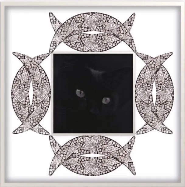 The black cat and the moon