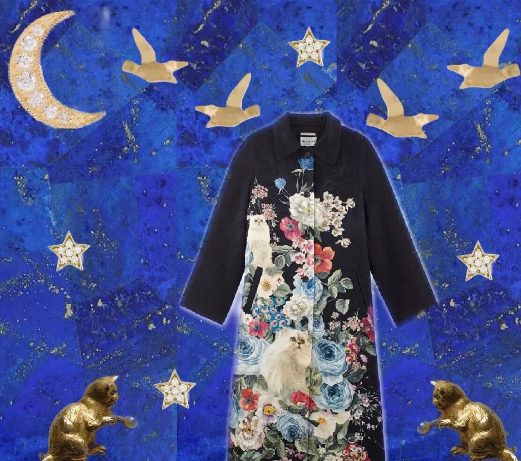 Un soir rythmé par le chant des oiseaux et la mélodie féline