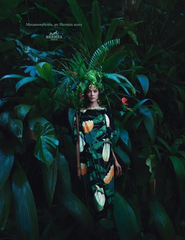Hermès advertisings