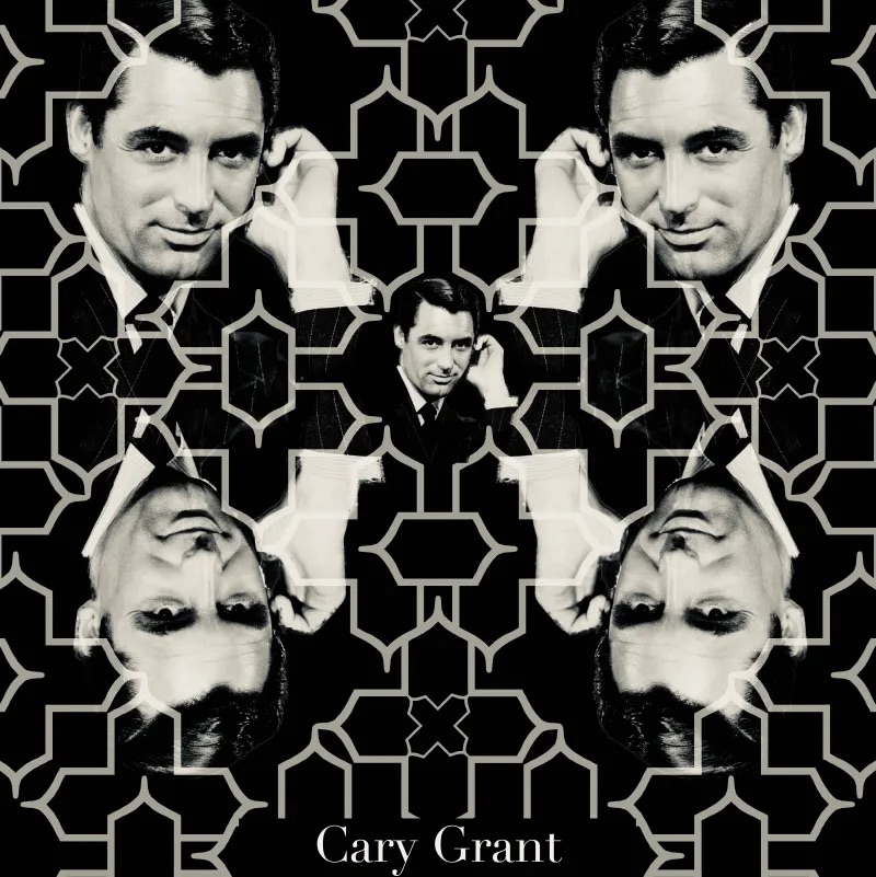 The Old Hollywood actor Cary Grant