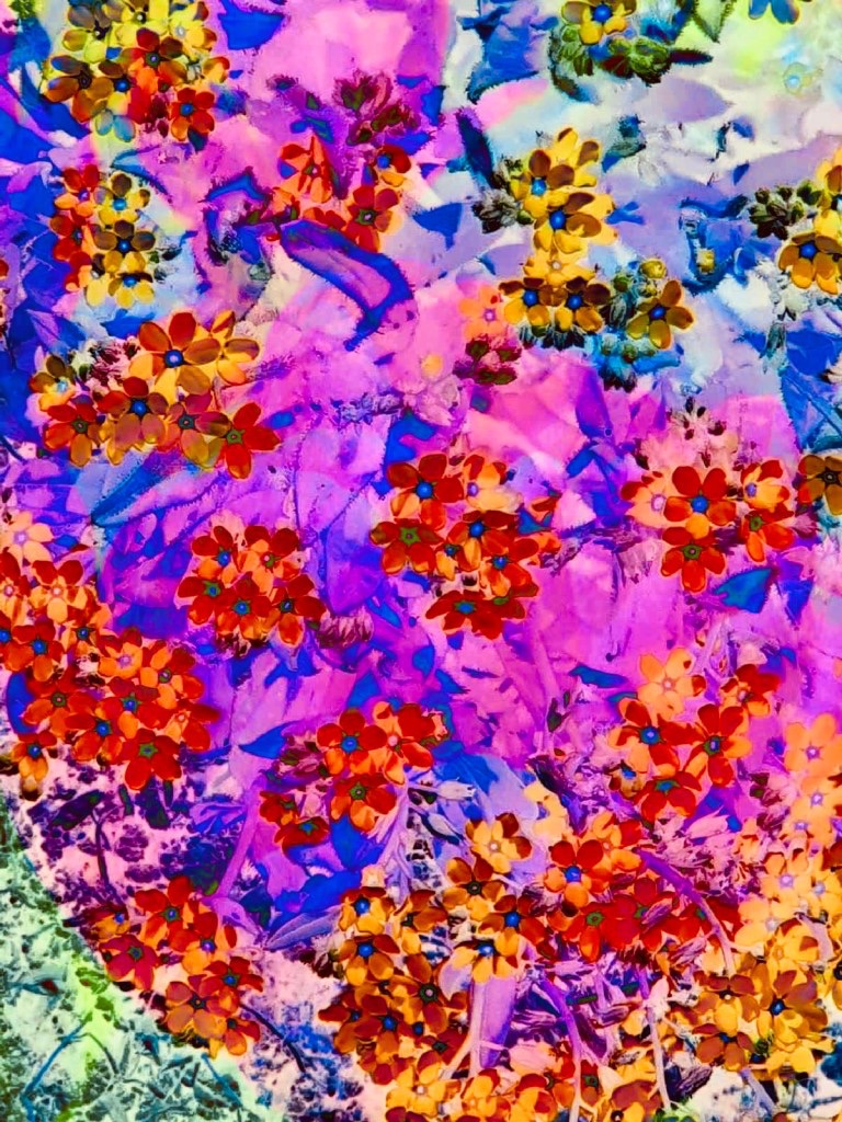 Colorful flowers