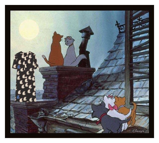 Catwoman on the Paris roofs