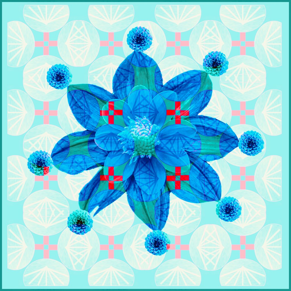 Flowers and geometry