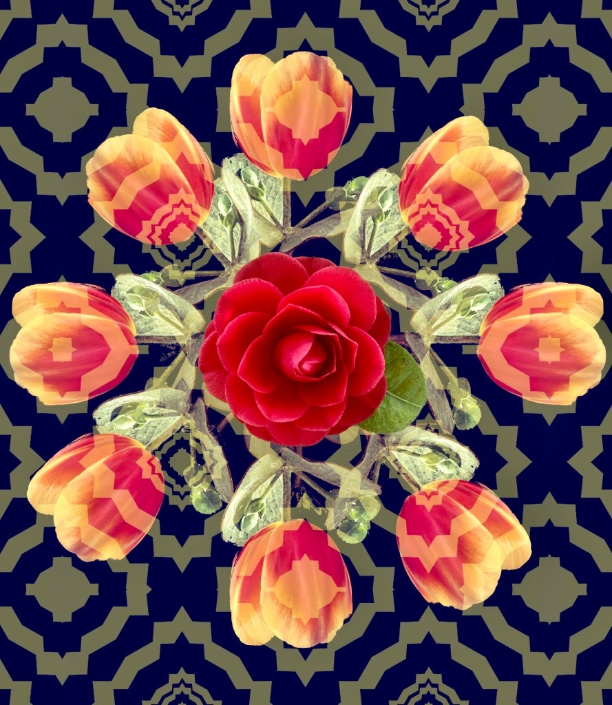 Une fleur au cœur de camélia et aux pétales de tulipes