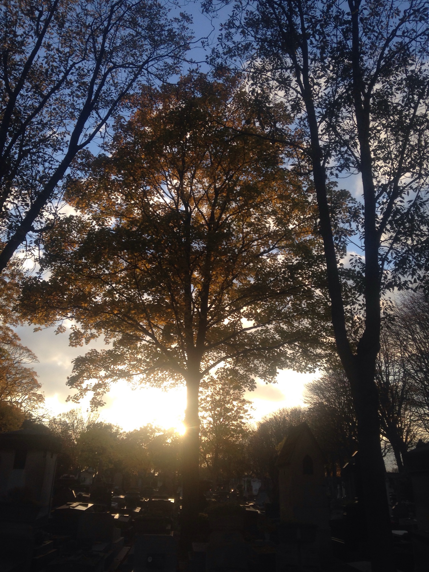 Fall lights and colours in Paris
