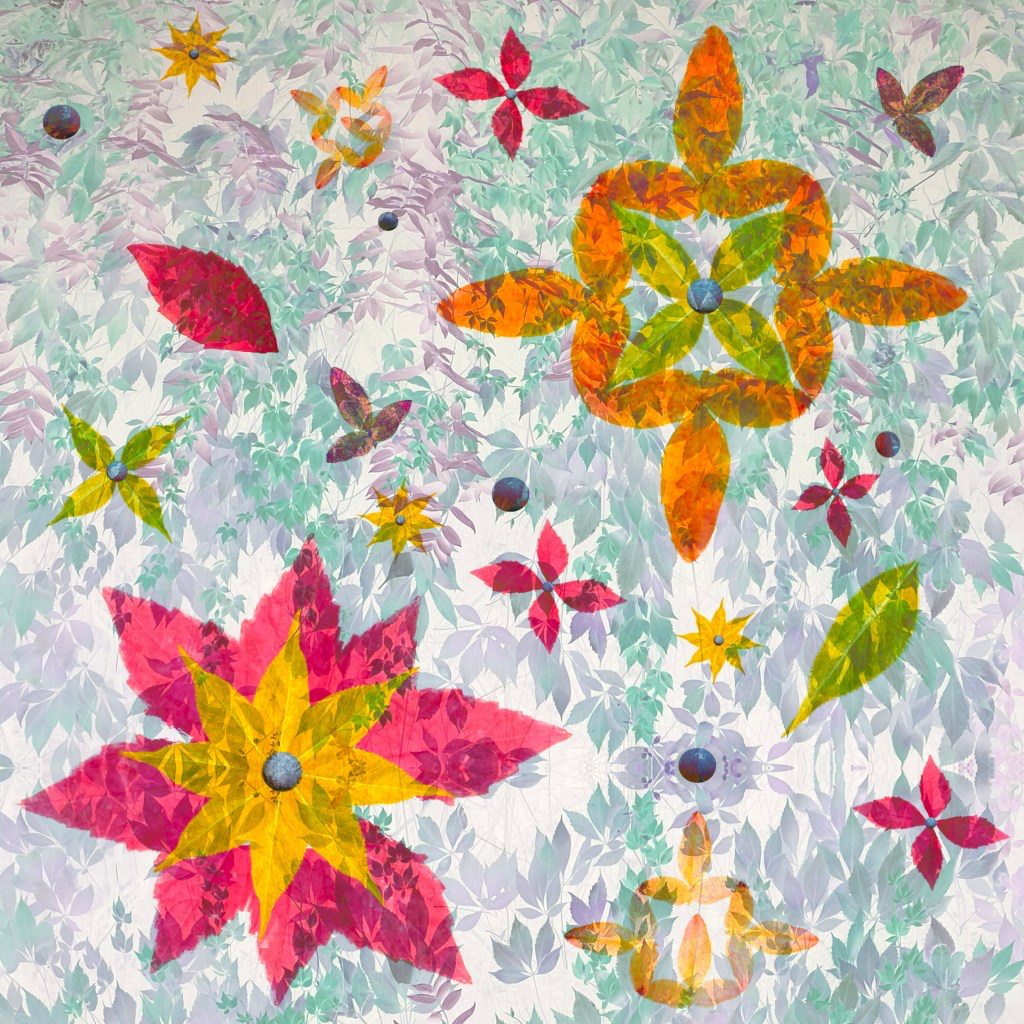 Un déluge de feuilles d’Automne