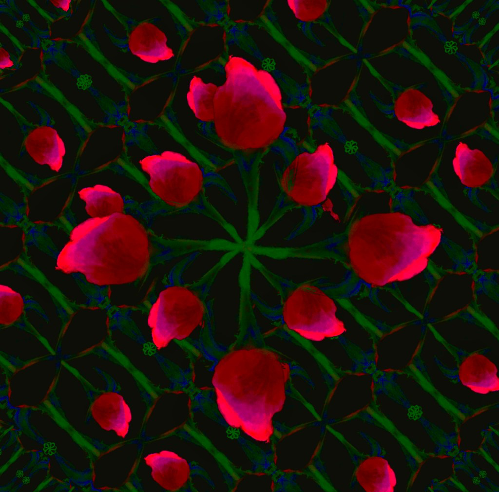 Des fleurs dans l’obscurité