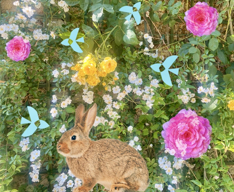A rabbit in a blooming garden where birds are singing