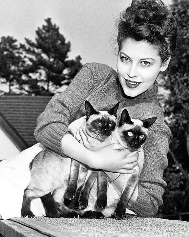 Old Hollywood actresses with cats !