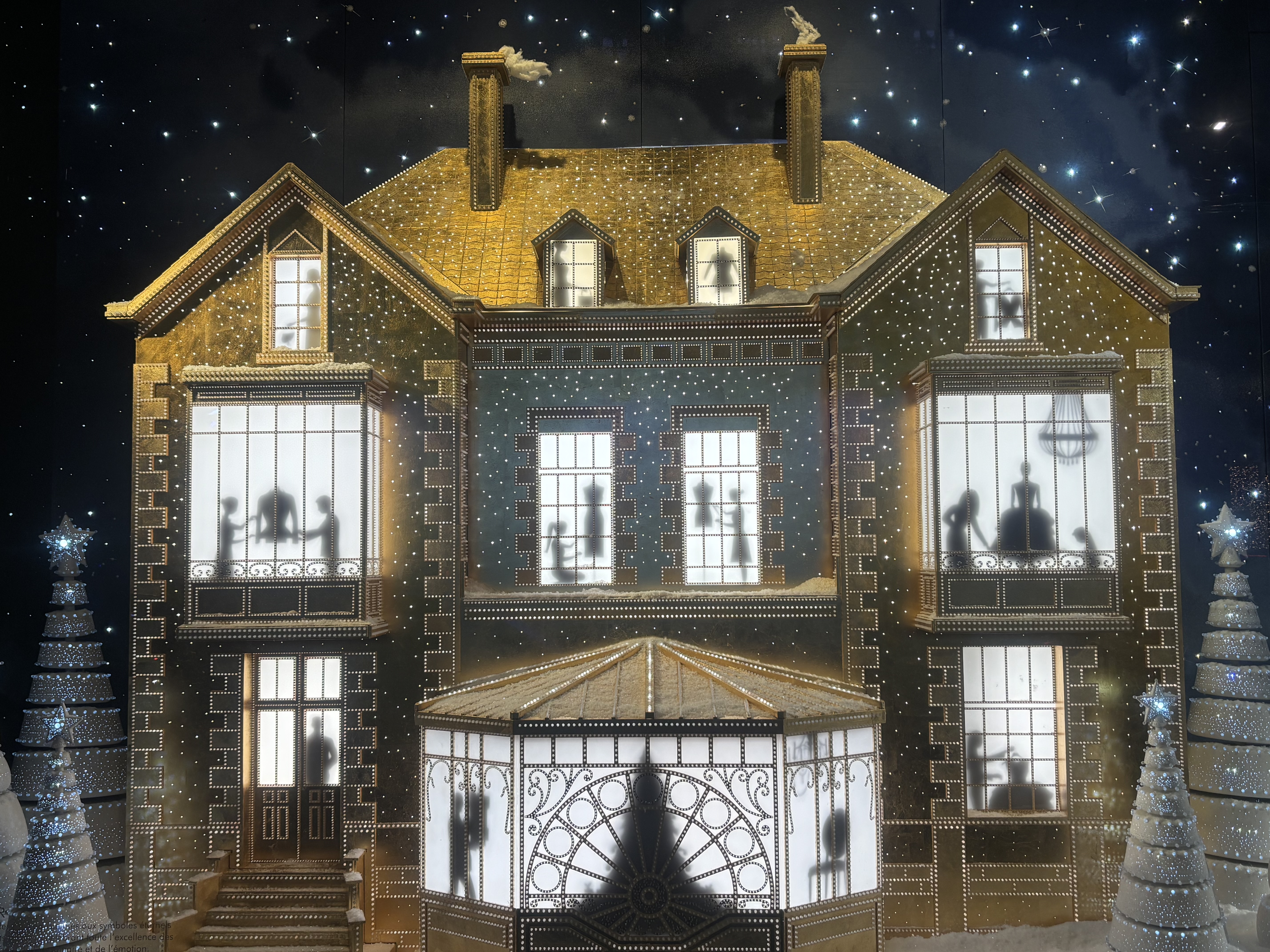Christmas Dior Windows in Paris (avenue Montaigne)