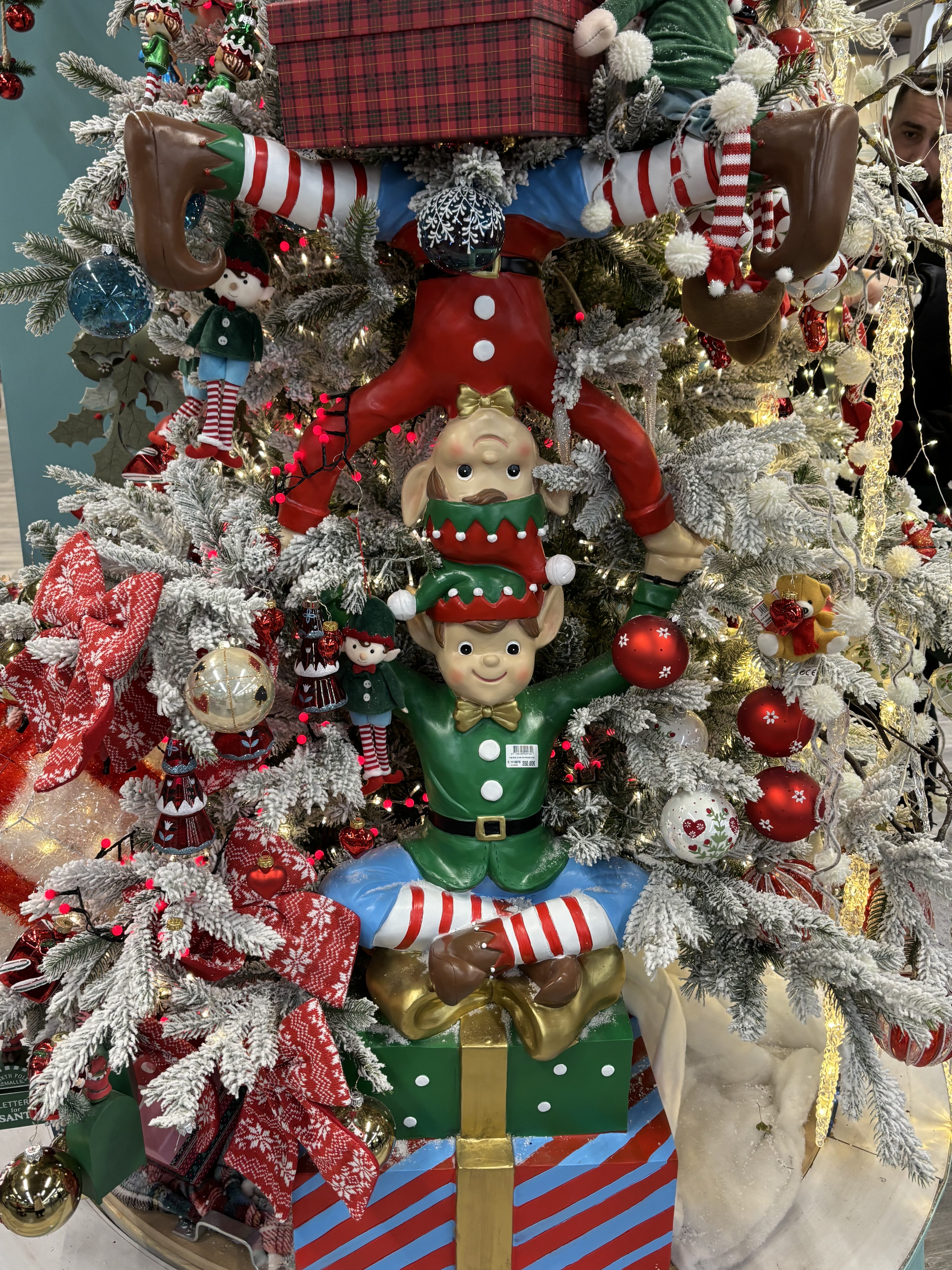 Christmas trees at Truffaut, Domus shopping mall, near Paris