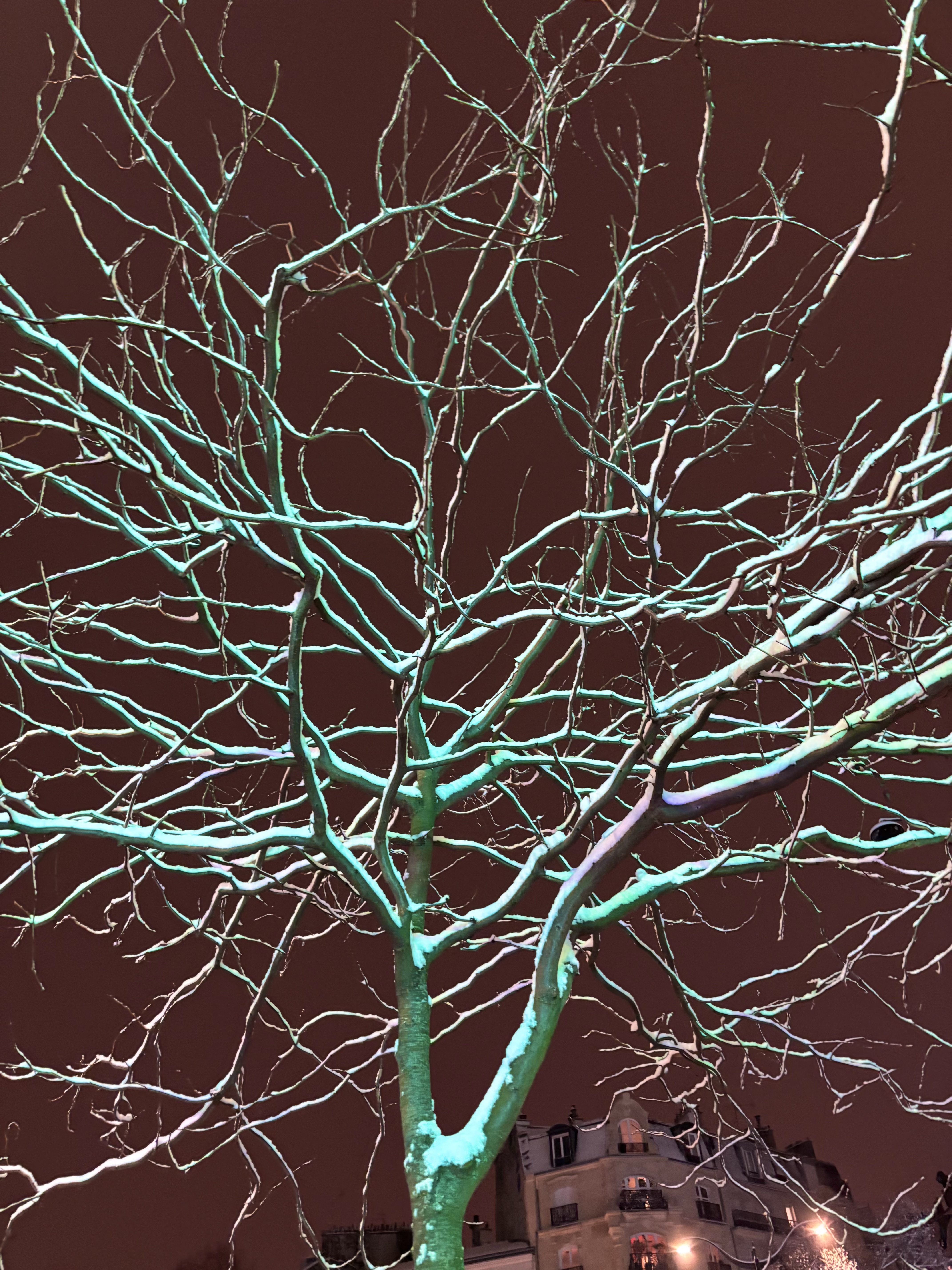 Snow in Paris under green light