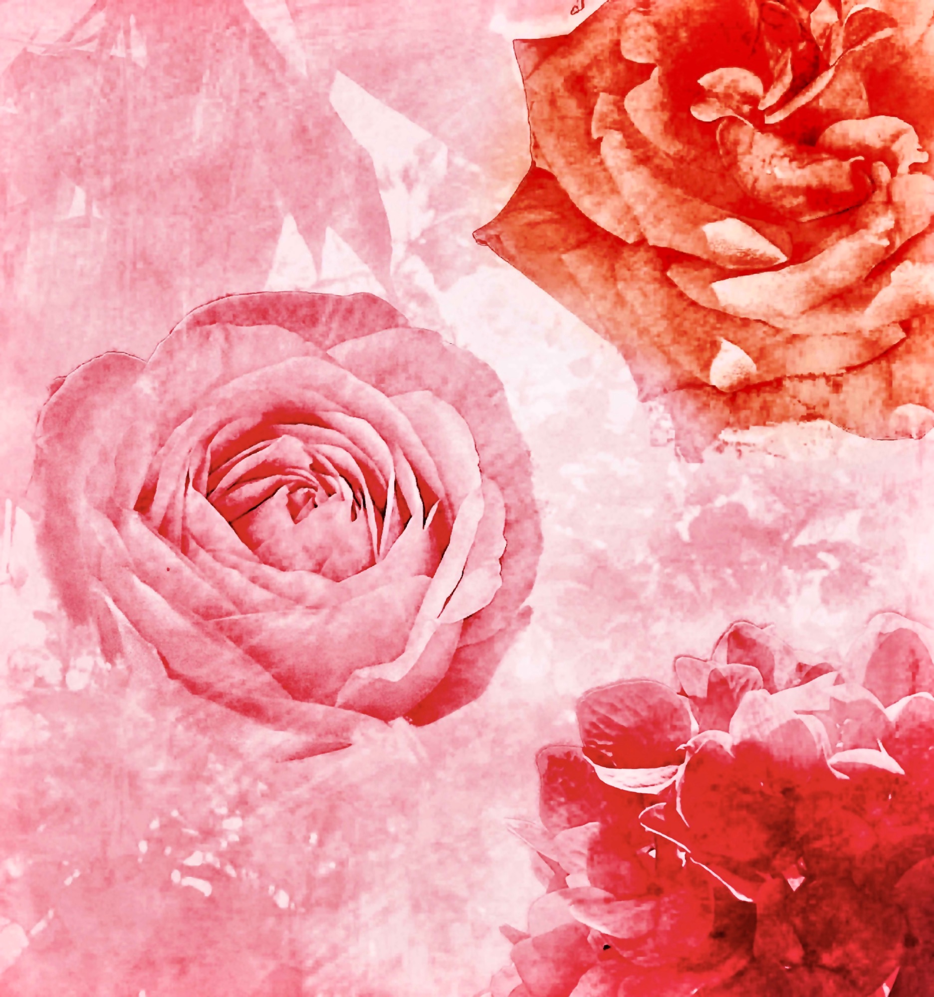 Some flowers for the soul