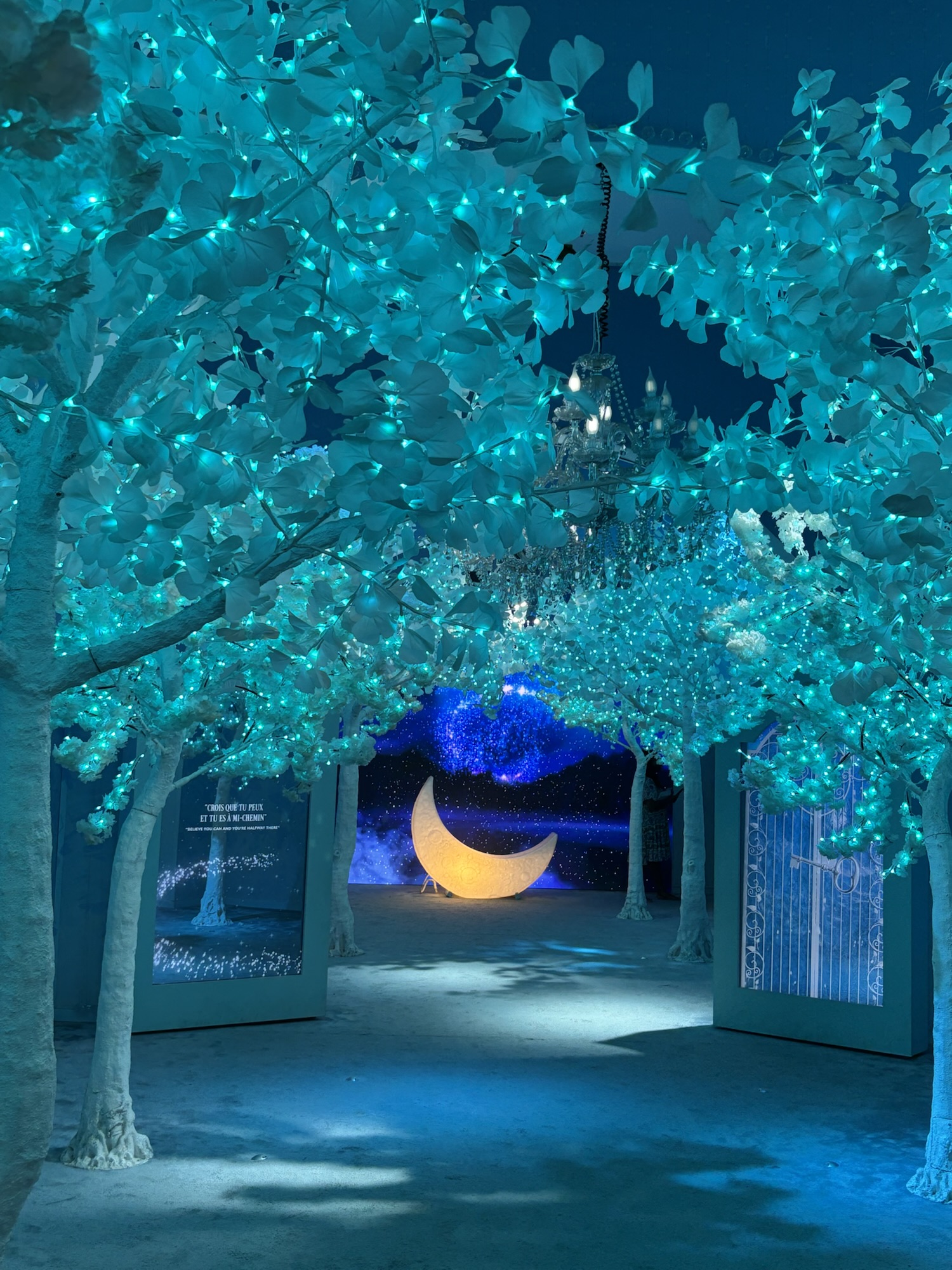 “House of dreamers” exhibition at the Louvre in Paris (July 2025)