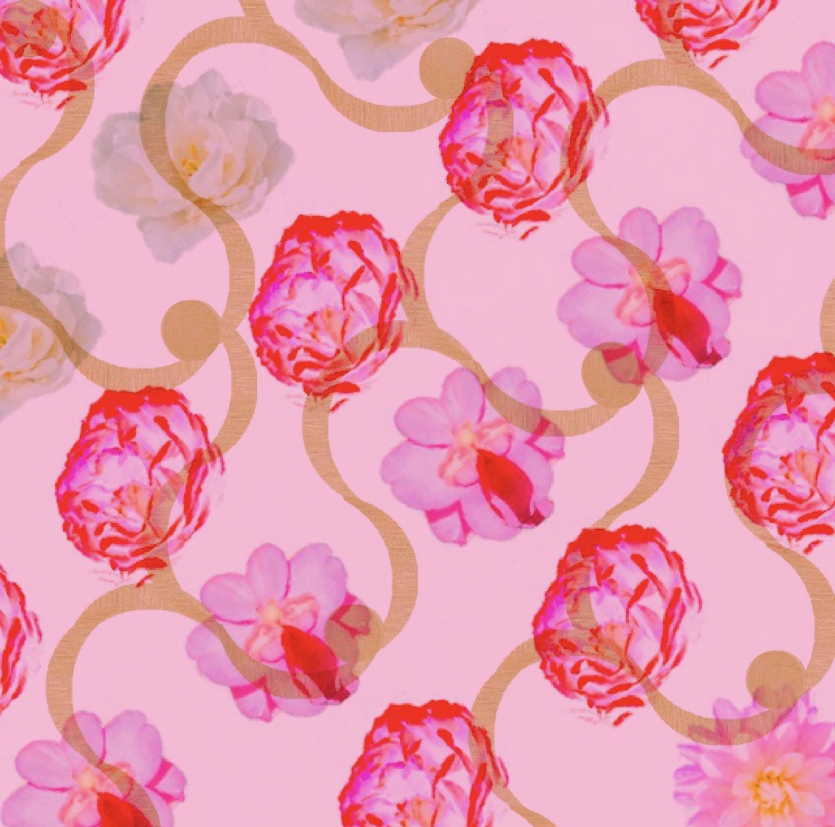 Une farandole de fleurs