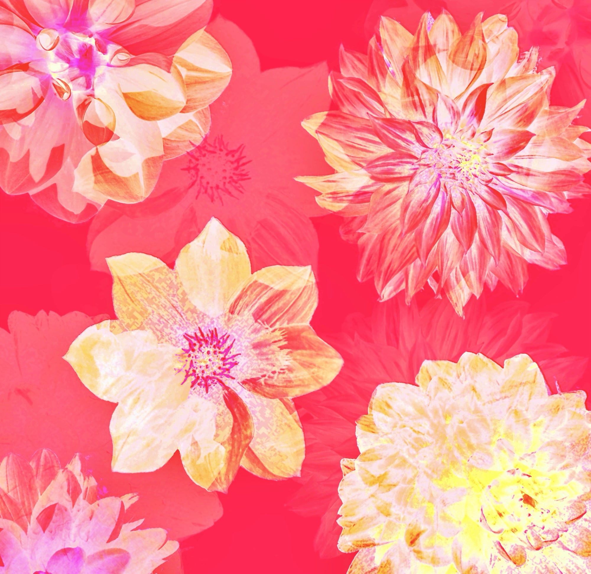 Flowers are always a good idea !