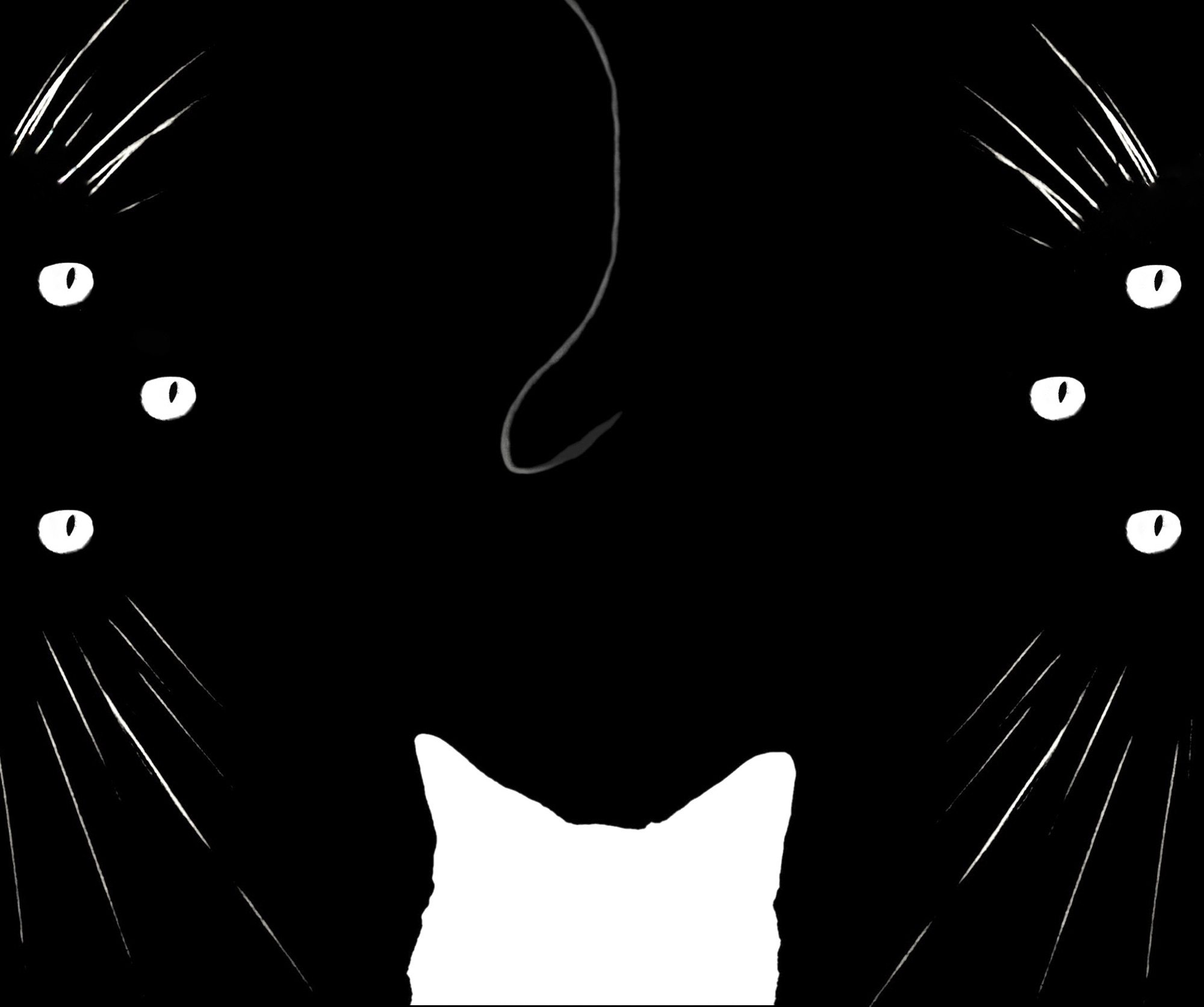 A cat in black and white