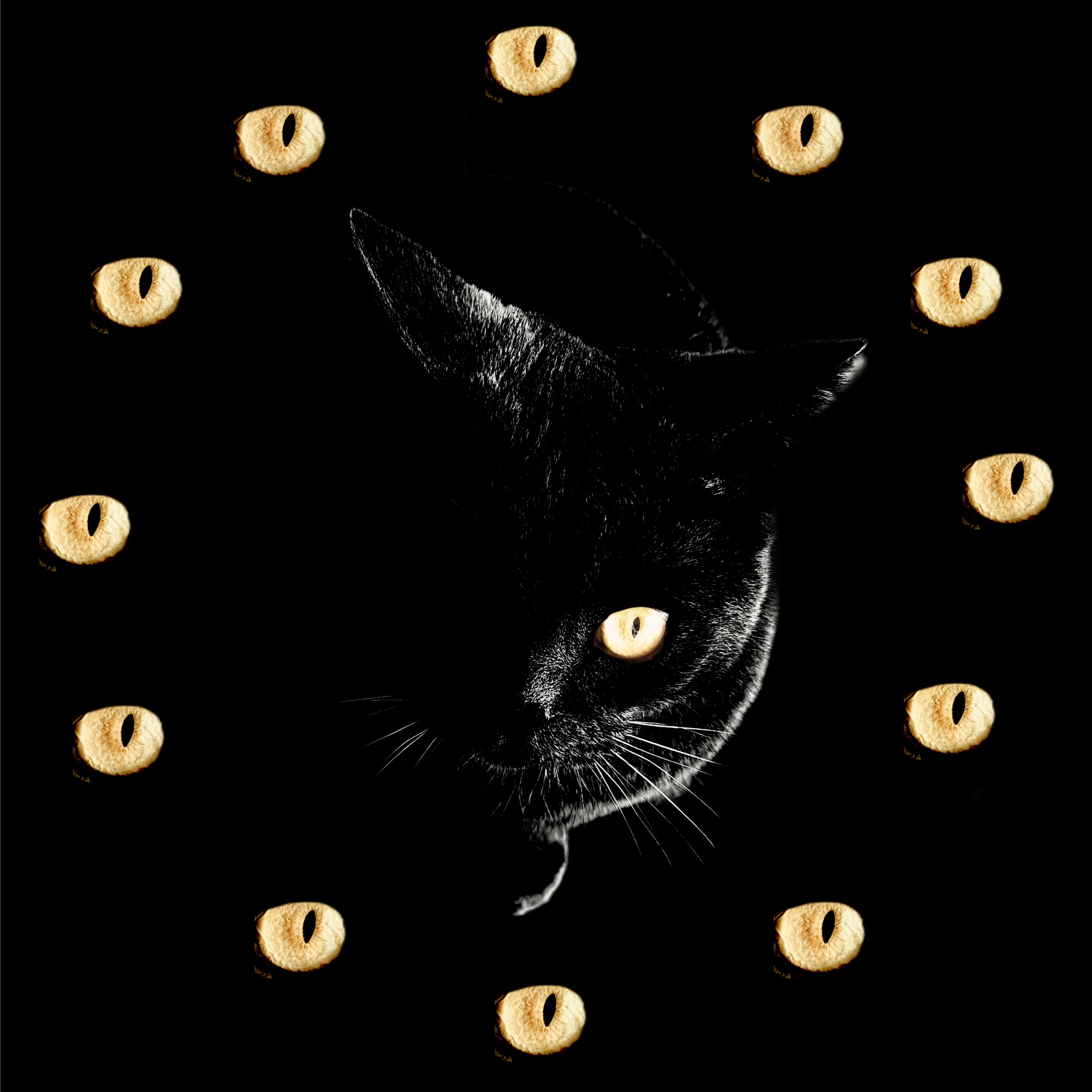 A cat with golden eyes in the dark