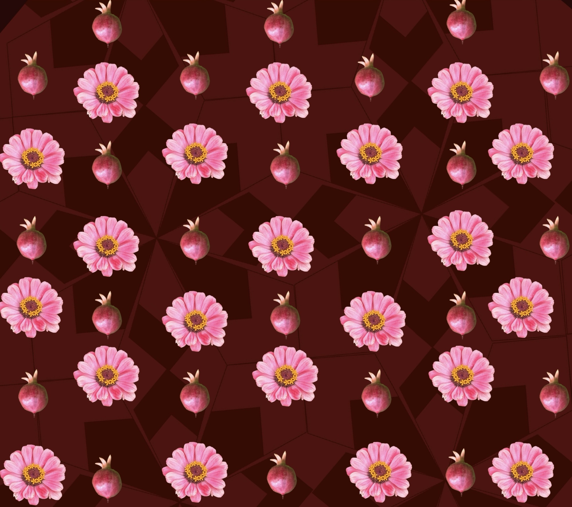 Daisies and dawrf pomegranates
